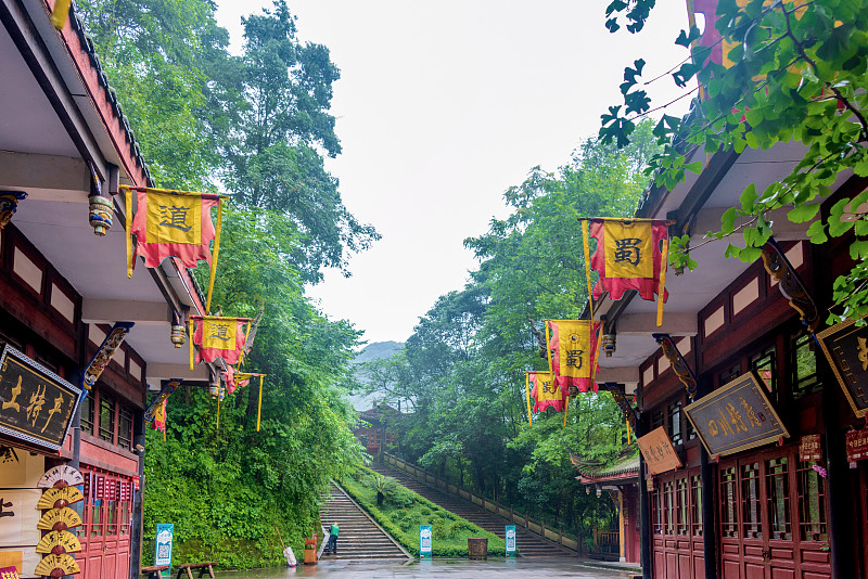 介绍四川泸州800字