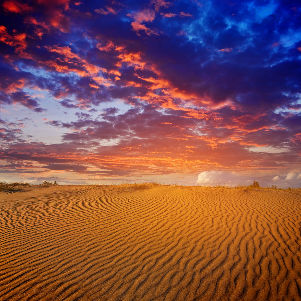 关于沙漠夕阳的散文诗