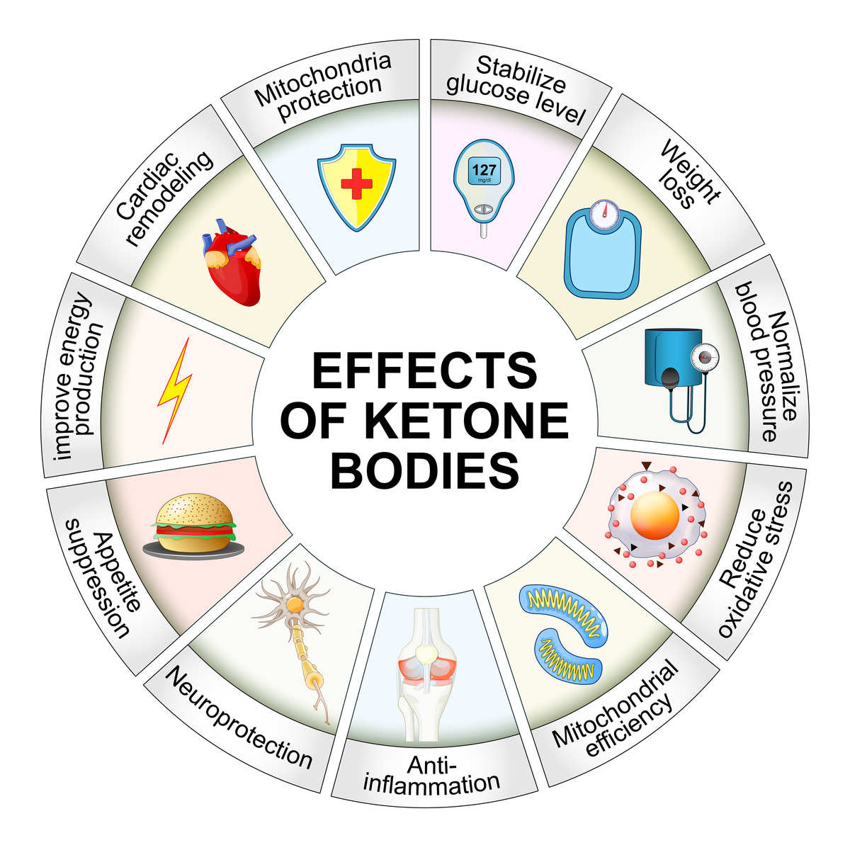 Multiple Choice Questions on Communication and Data Literacy
