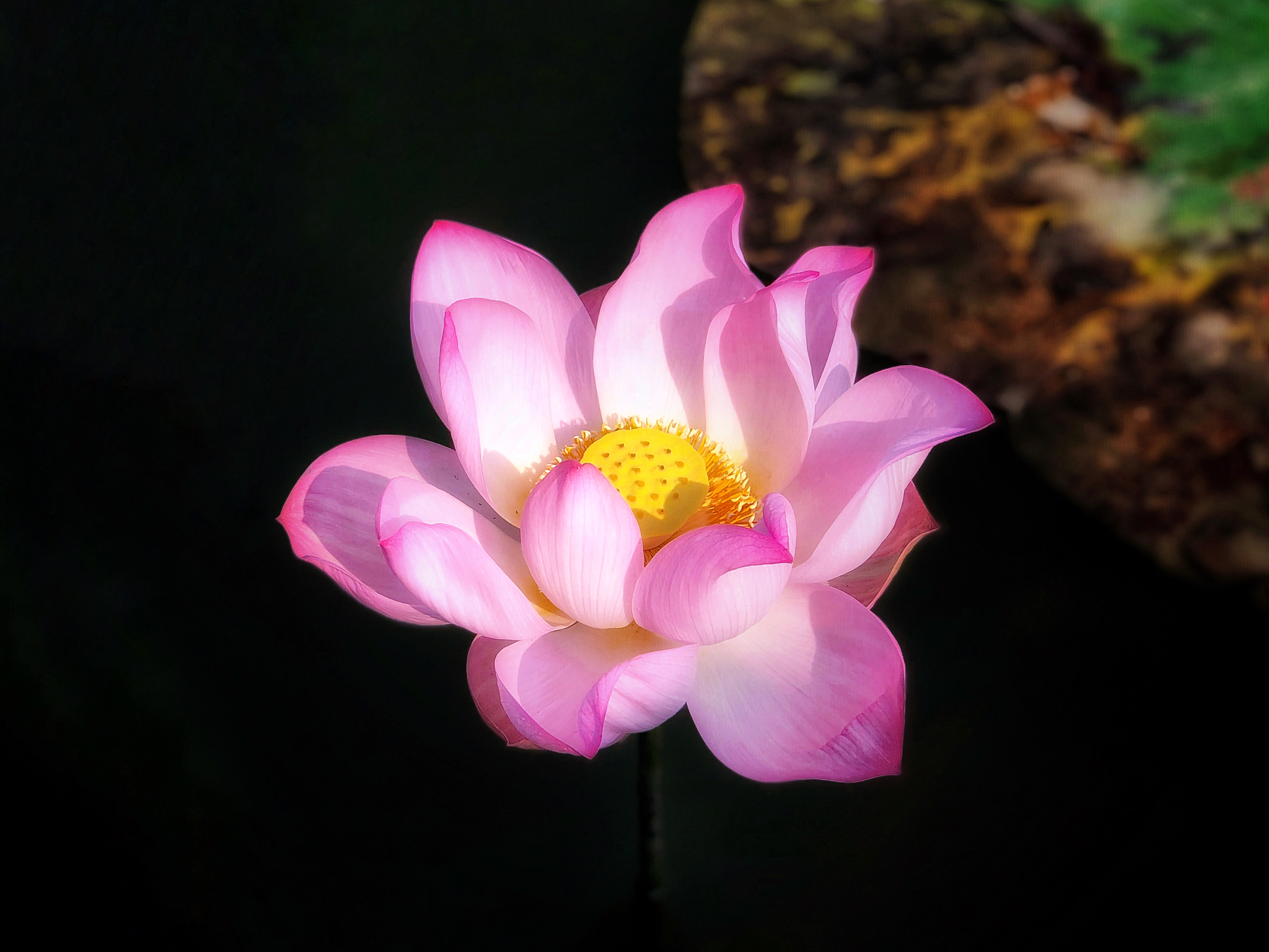 无语的意思：解释和用法 - 无语是什么意思？