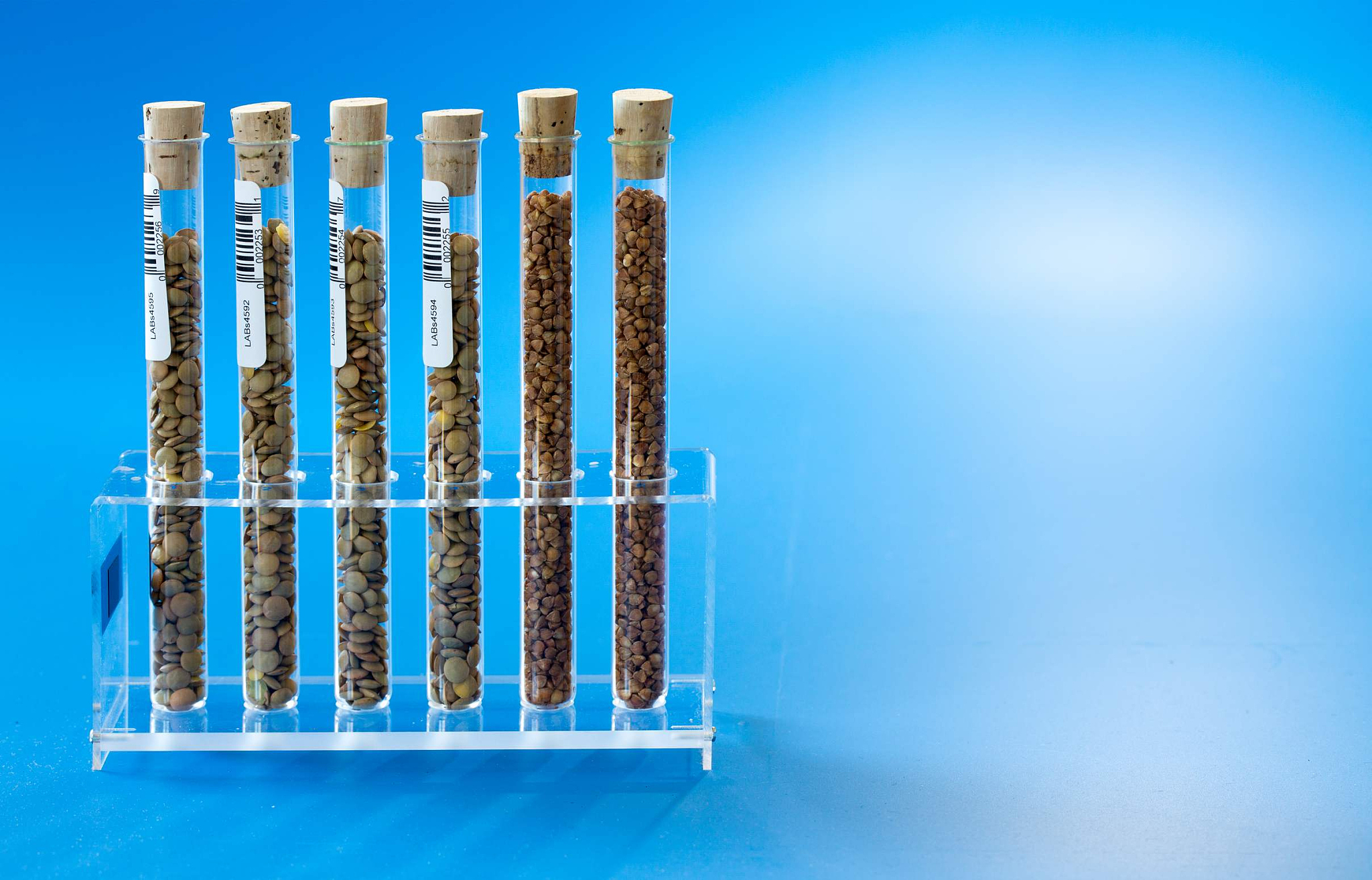 25方缸放25w加热棒0到23度得多长时间帮我用200字详细描述