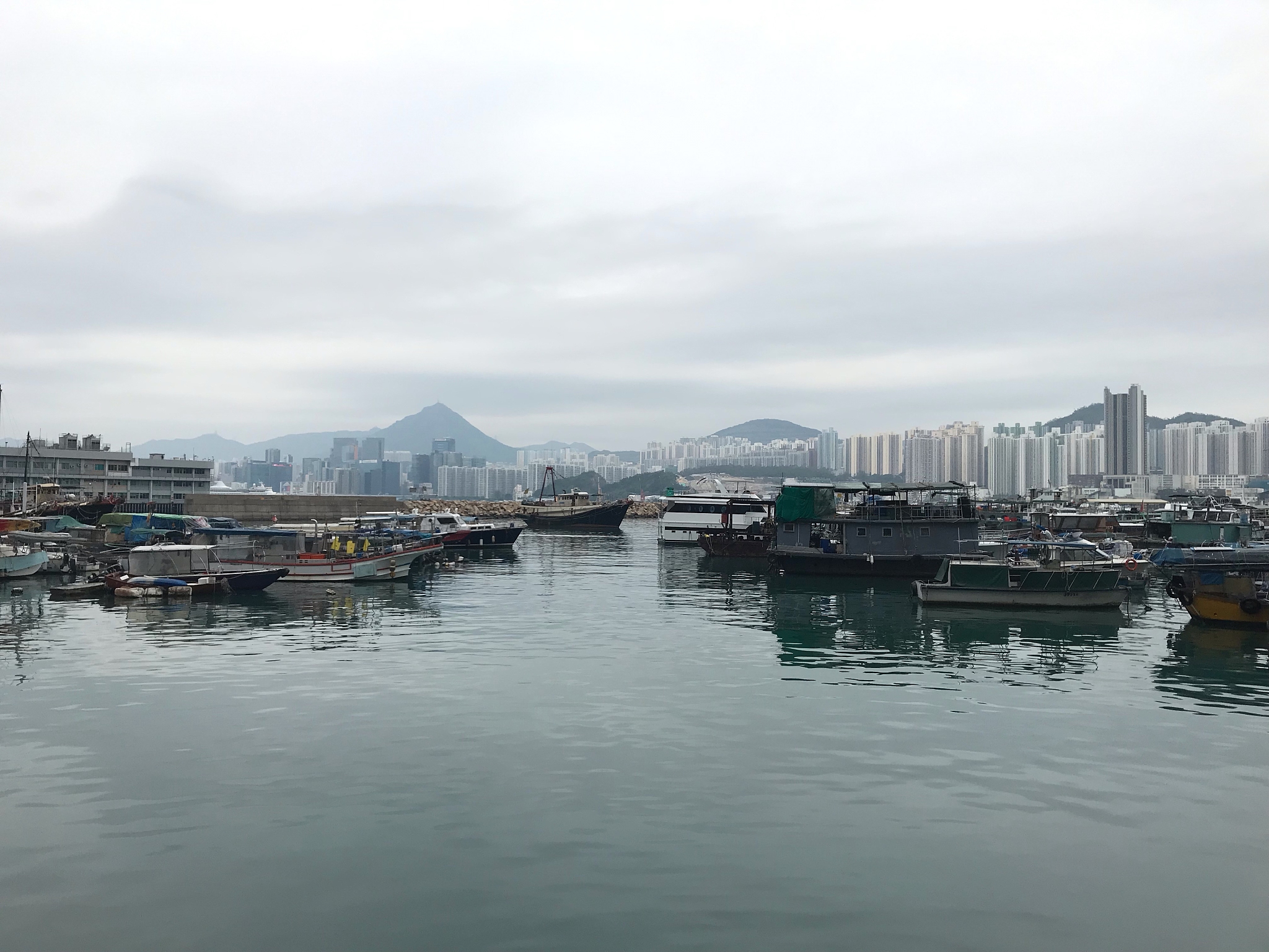 boats moored in harbor