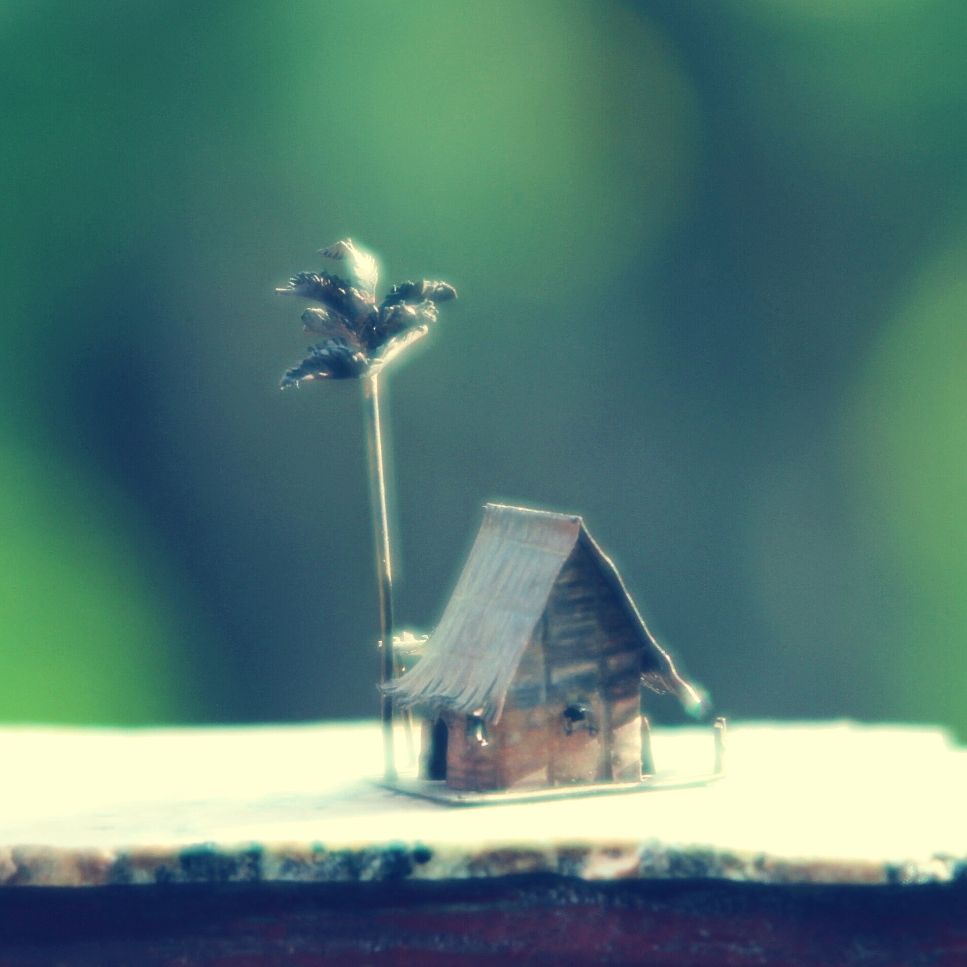 Small Universe: A Tiny World of Wonder