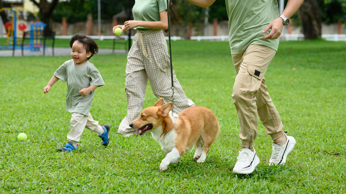 宠着是什么意思？| 深入解析宠着的含义和意义
