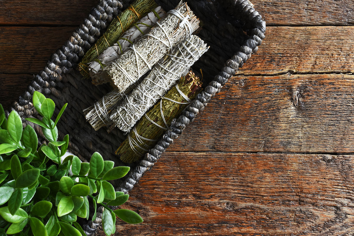 四川大学药学专业招生就业岗位都有哪些