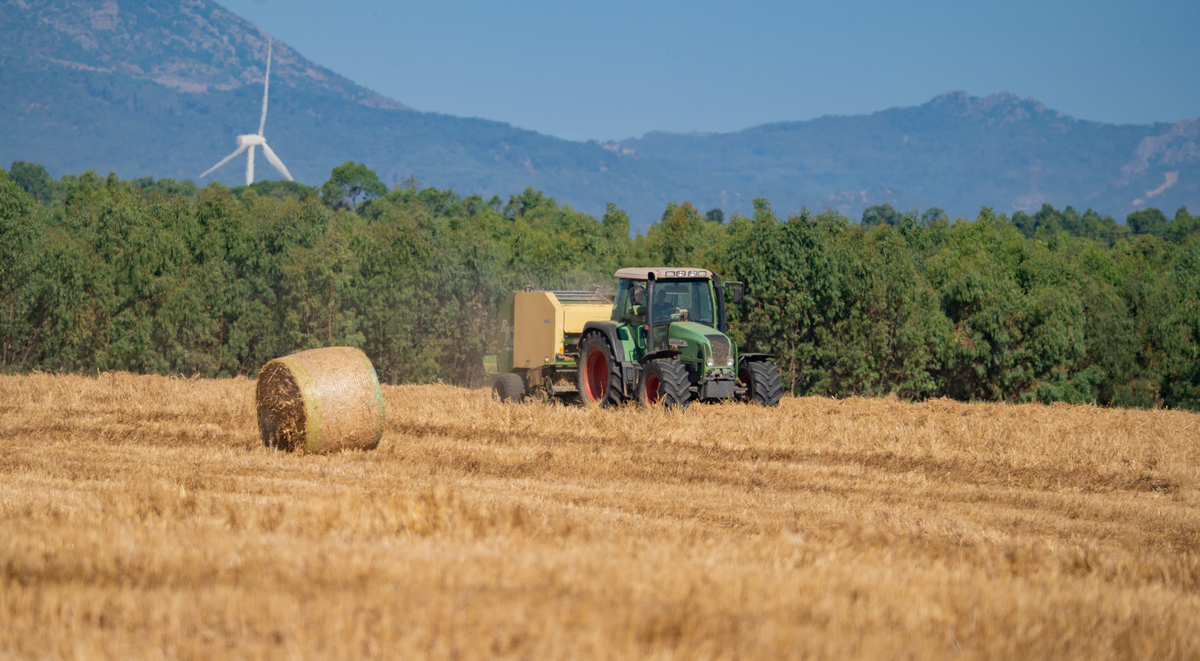 The Impact of Xinjiang Agricultural E-commerce on Farmers' Income: A Study