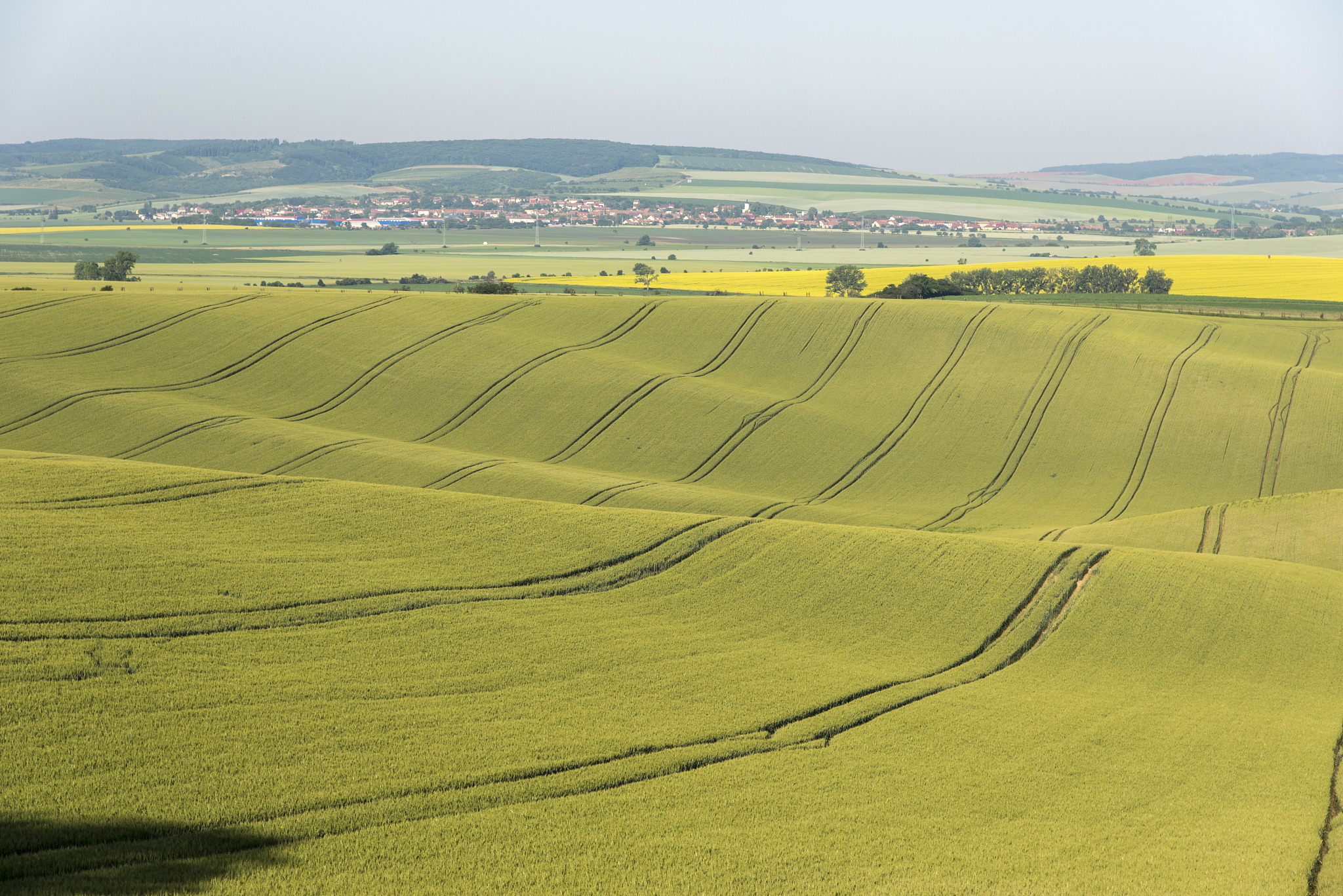 fields