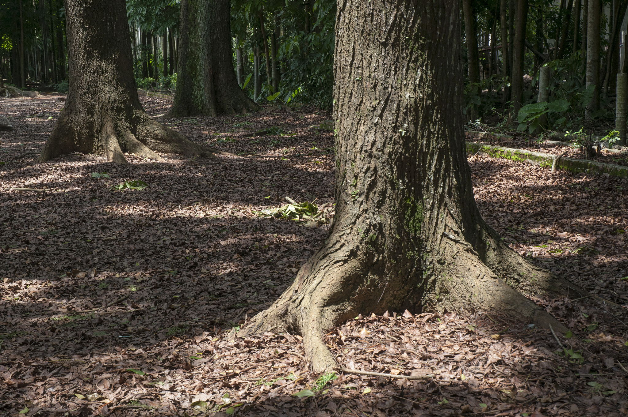 德宏州中等职业学校怎么样_学校地址在哪里