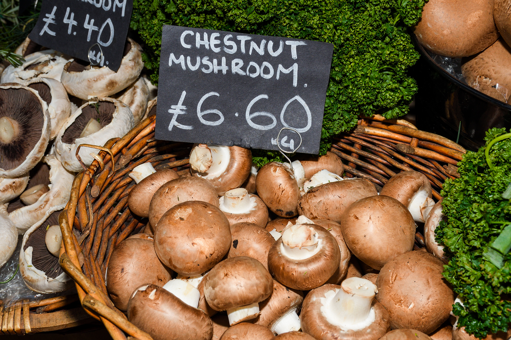 One day a customs officer managed to get some fresh mushrooms磨菇 一天一海关官员想要一些新鲜蘑菇。 He was so __21__ what he had bought that he offered to share the mushrooms with his brother officers When their breakfa