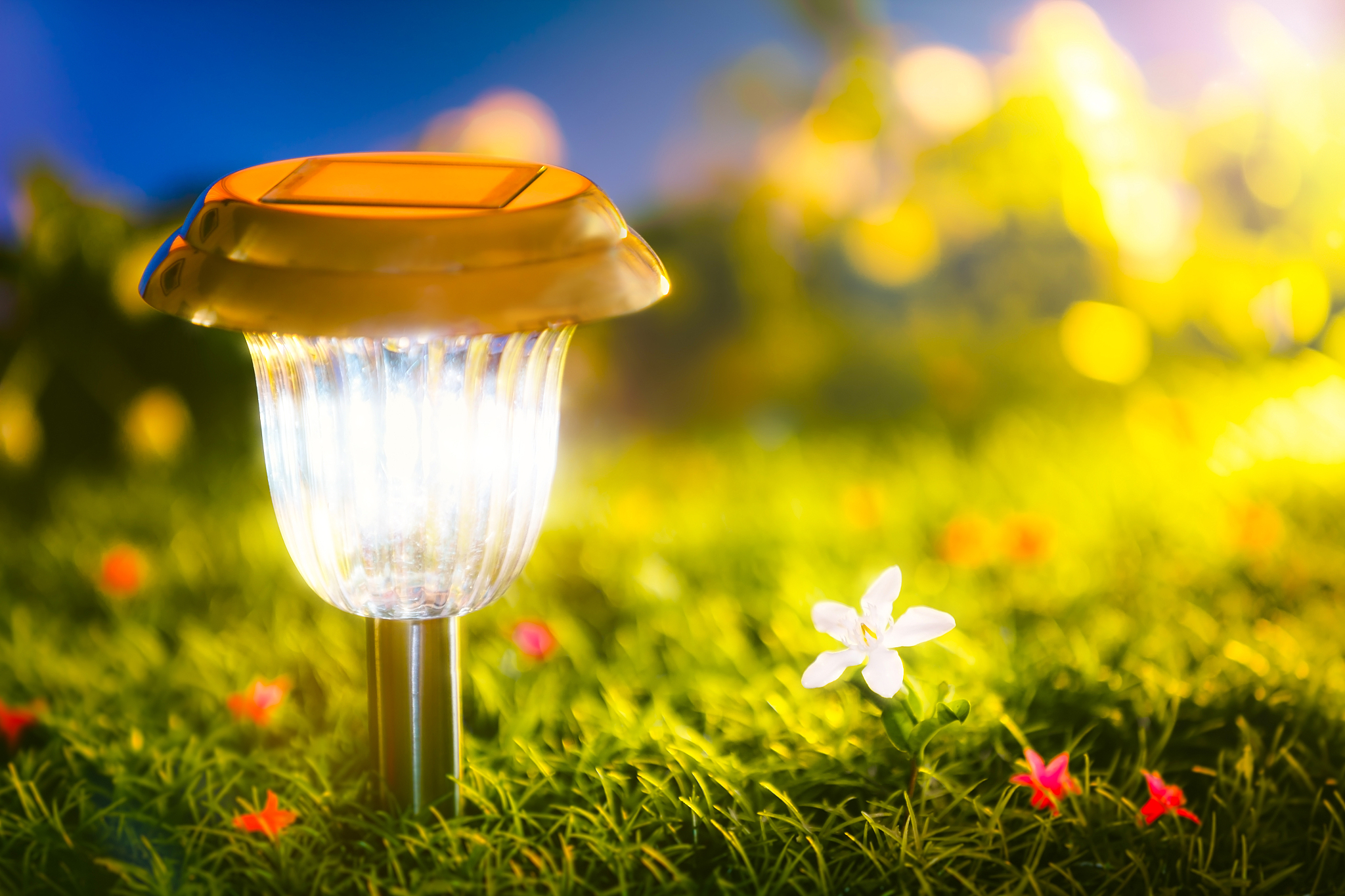 太阳能蜜蜂灯的相关词