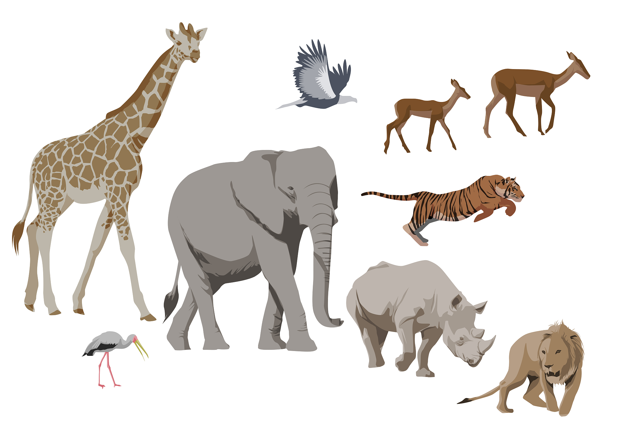 象园之旅 写一篇300字小学作文