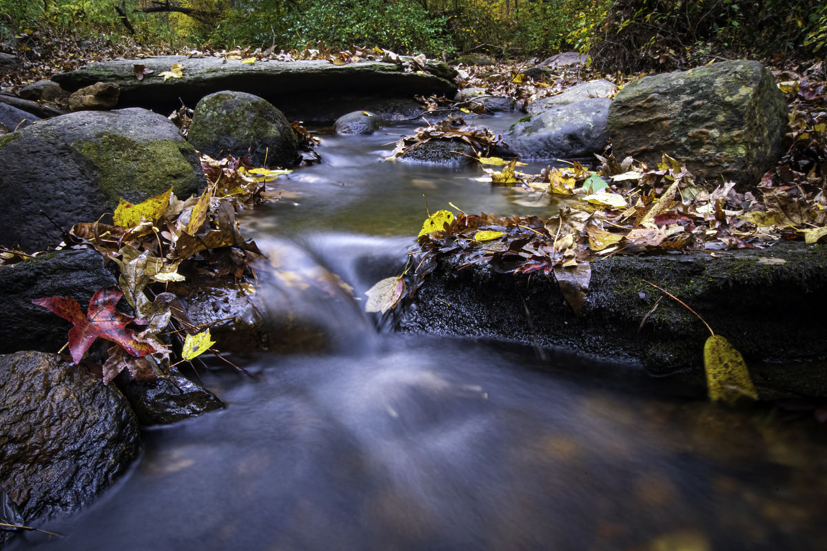 一流本科课程要求注重实践教学，能够提供实践机会和实际应用场景，培养学生的实际能力。
具体怎么做呢？