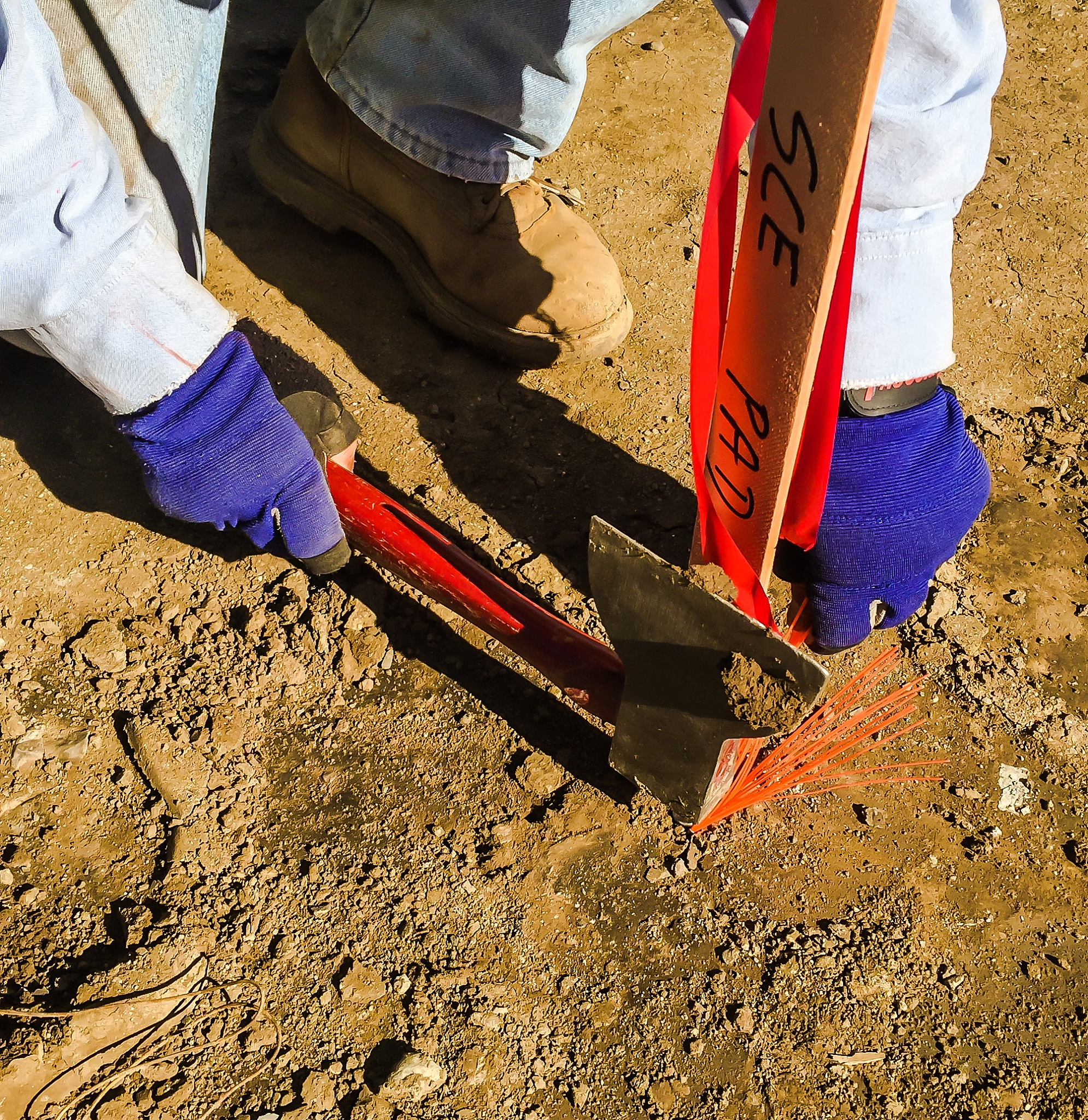 马铃薯薯渣宠物垫料制作工艺流程详解