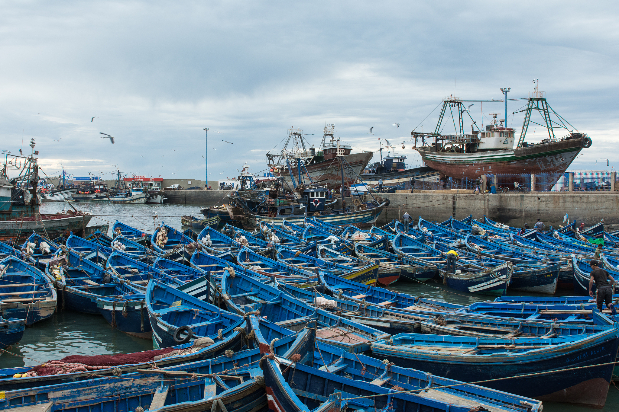 fishing boats morocco