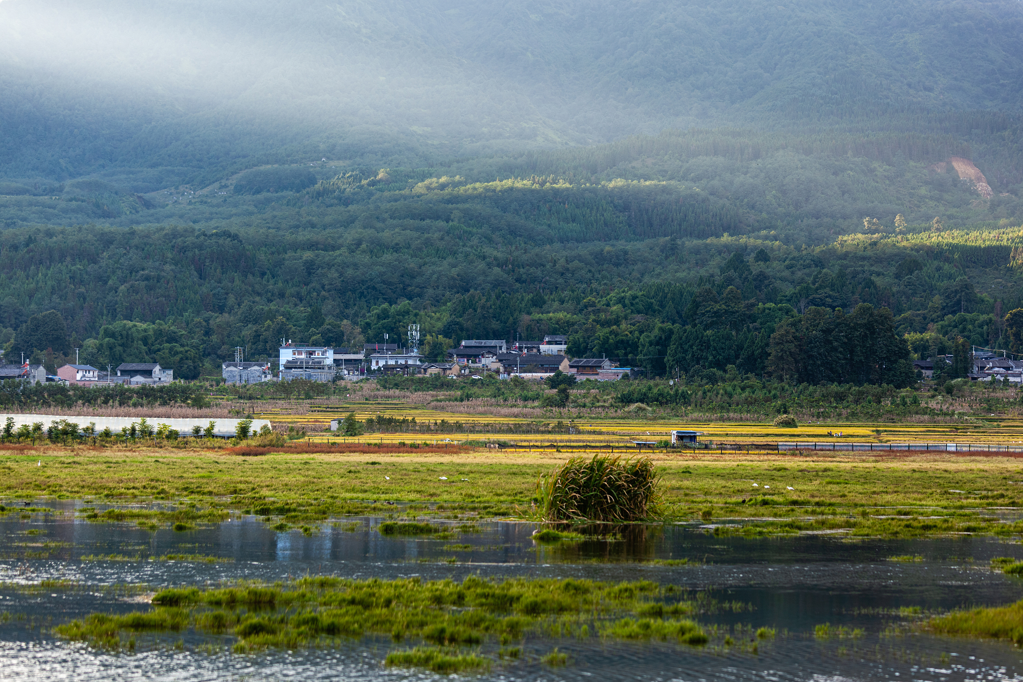 曲靖农业学校初中起点一贯制大专报读条件：助力农业人才培养