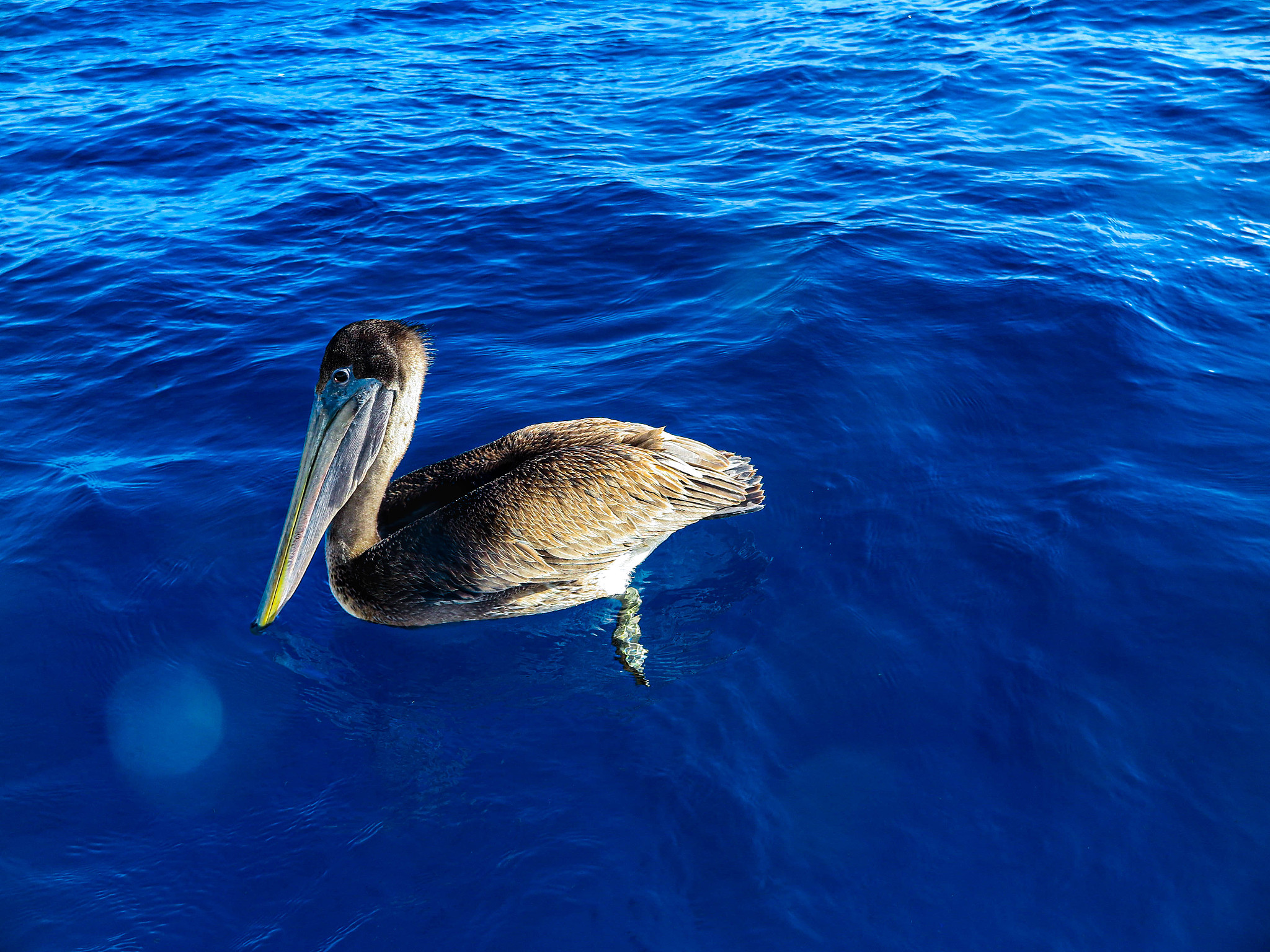 青岛海洋技师学院怎么样？ - 培养海洋技术人才的优质选择