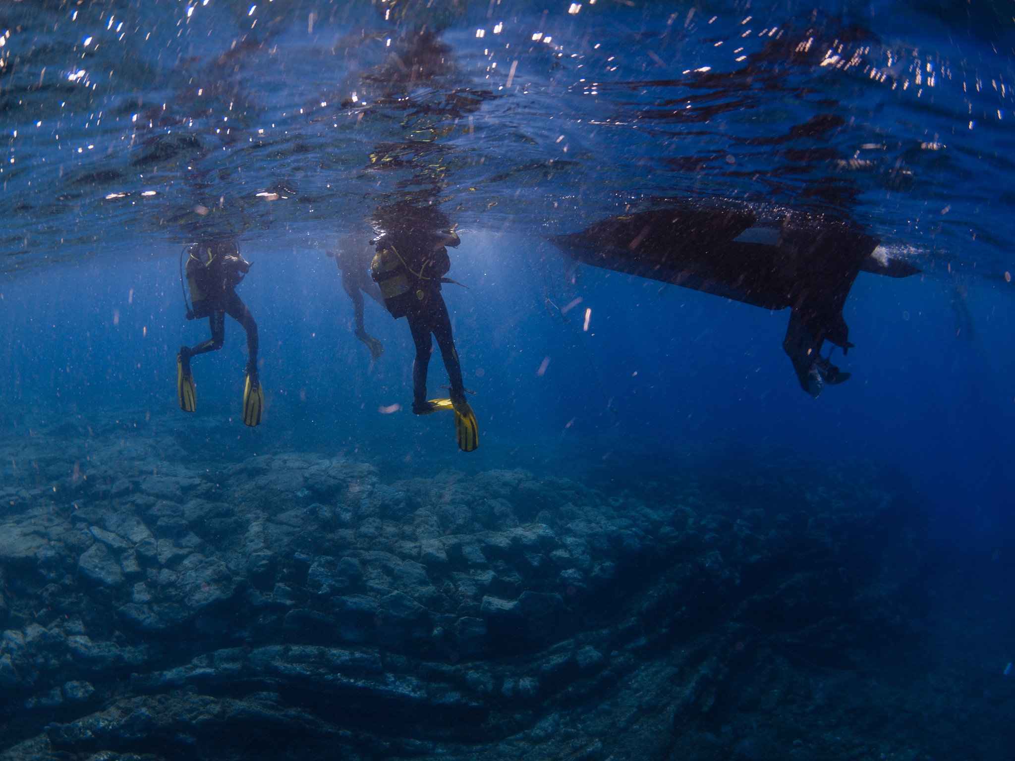 How does the heterogeneity contribute to the deep sea diversity