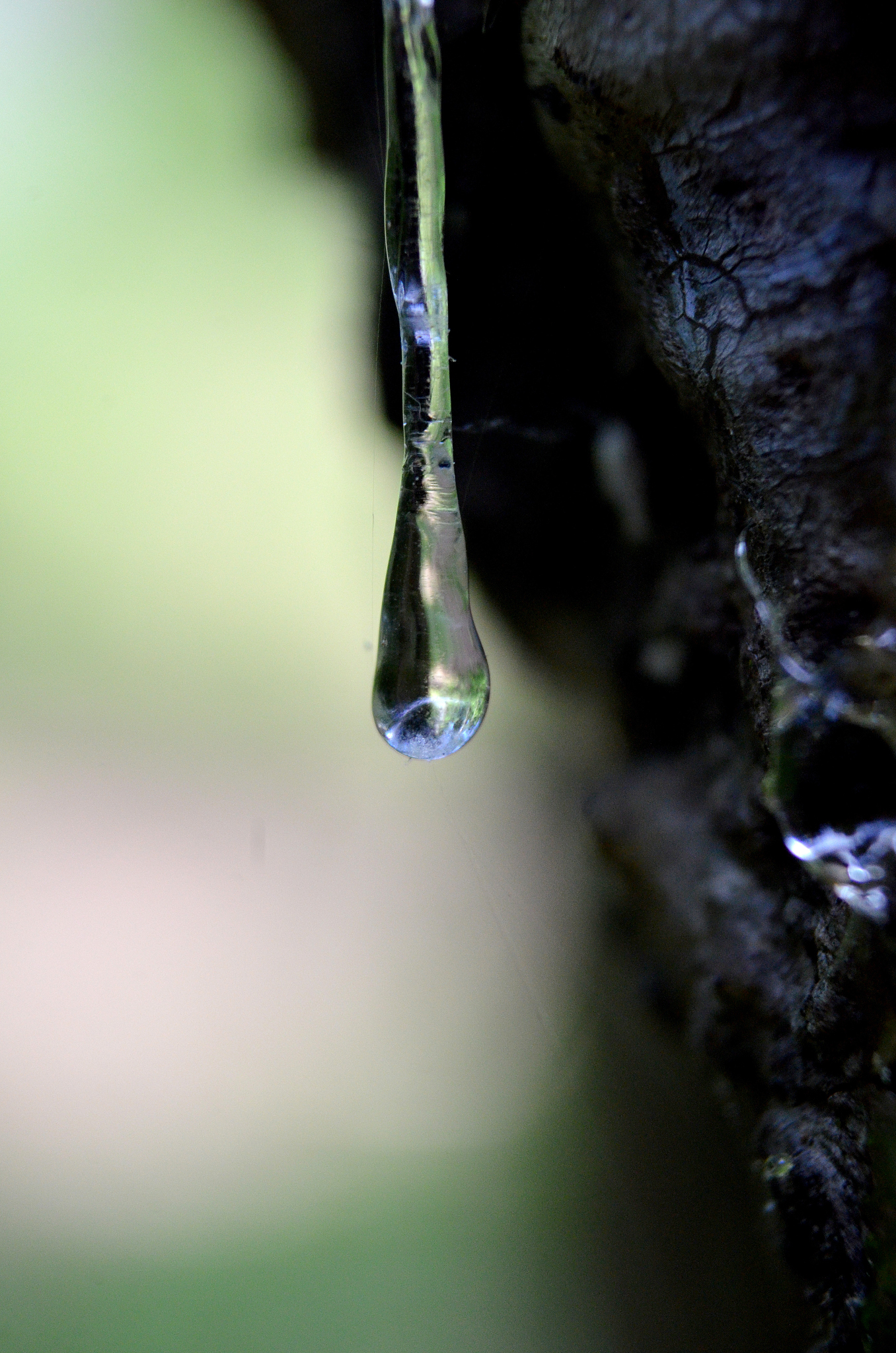 drop of fresh resin