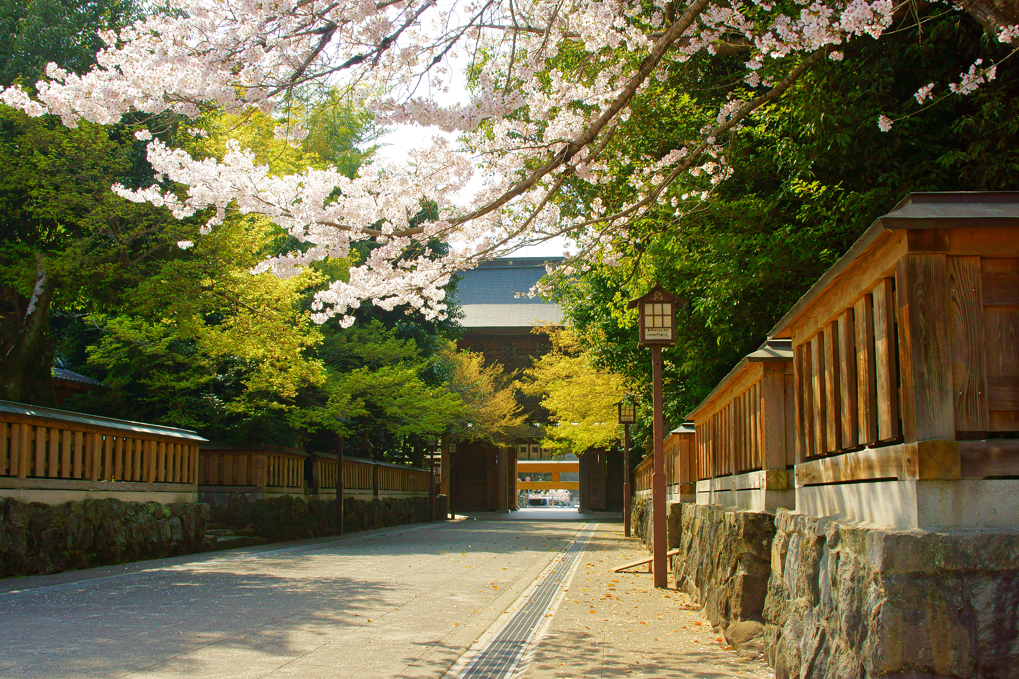 kengun shrine in spring, kumamoto prefecture, japan