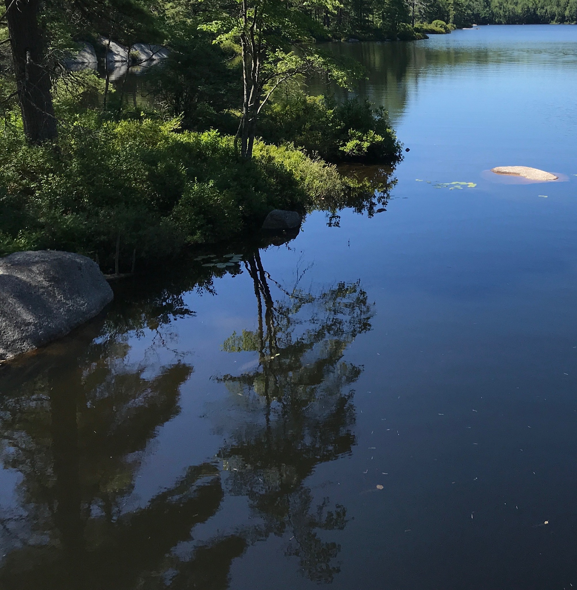 summer waterways, and landscapes