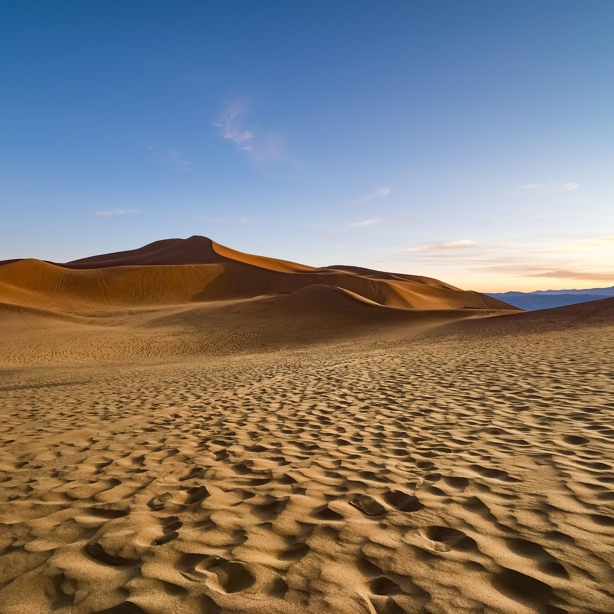 国家市场监管总局合同示范文本库 -  免费下载参考样本