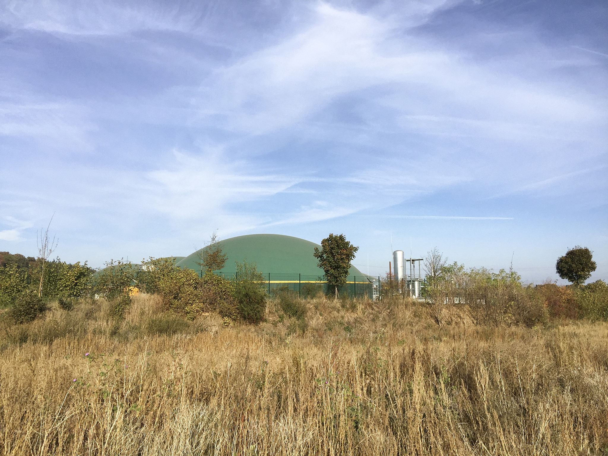 我想写一篇关于生态农业沼气的文章其中阐述生态农业沼气的原理并且要讲述以下生态农业沼气的国内和国外研究请给我拟定一个框架