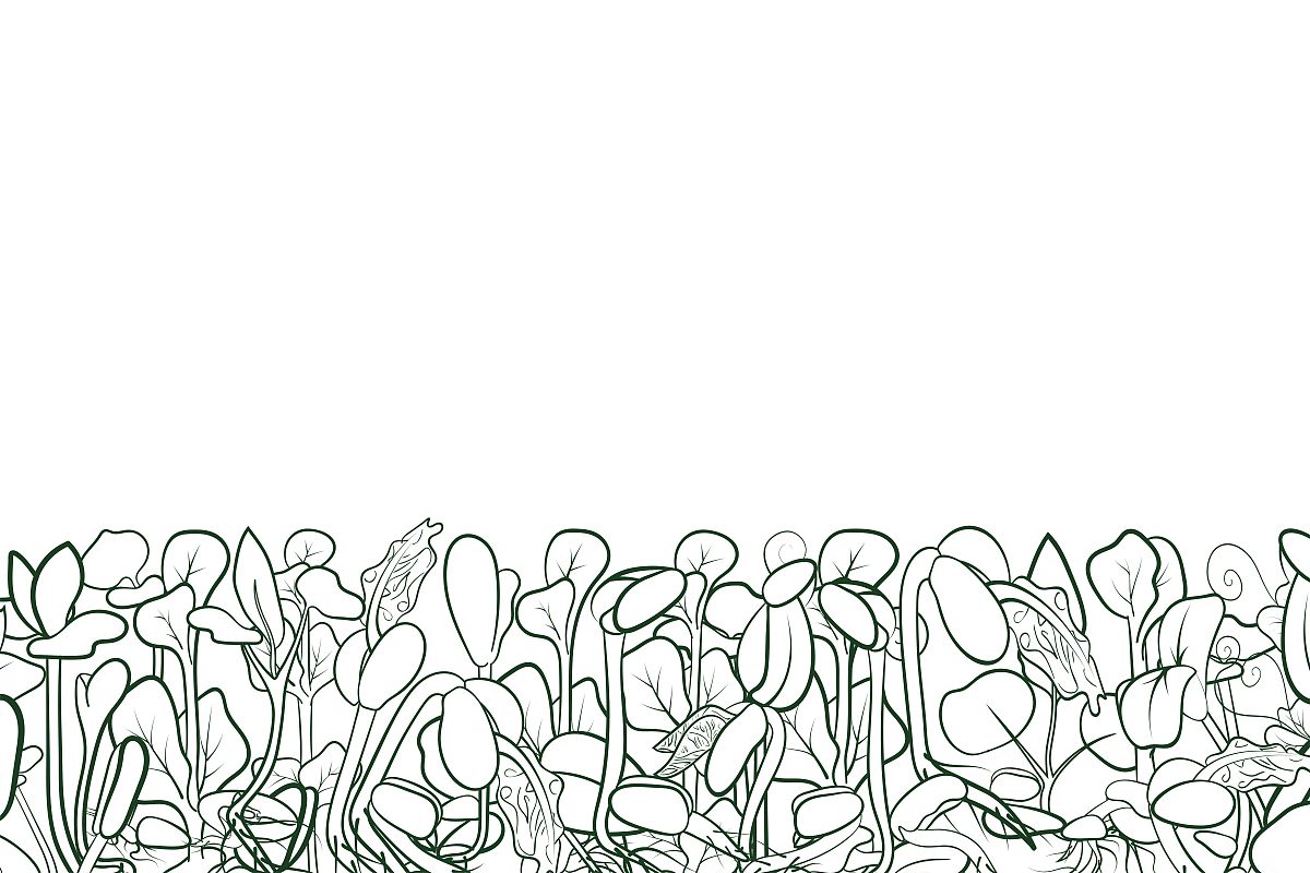 山东省莱阳卫生学校注意事项-好不好