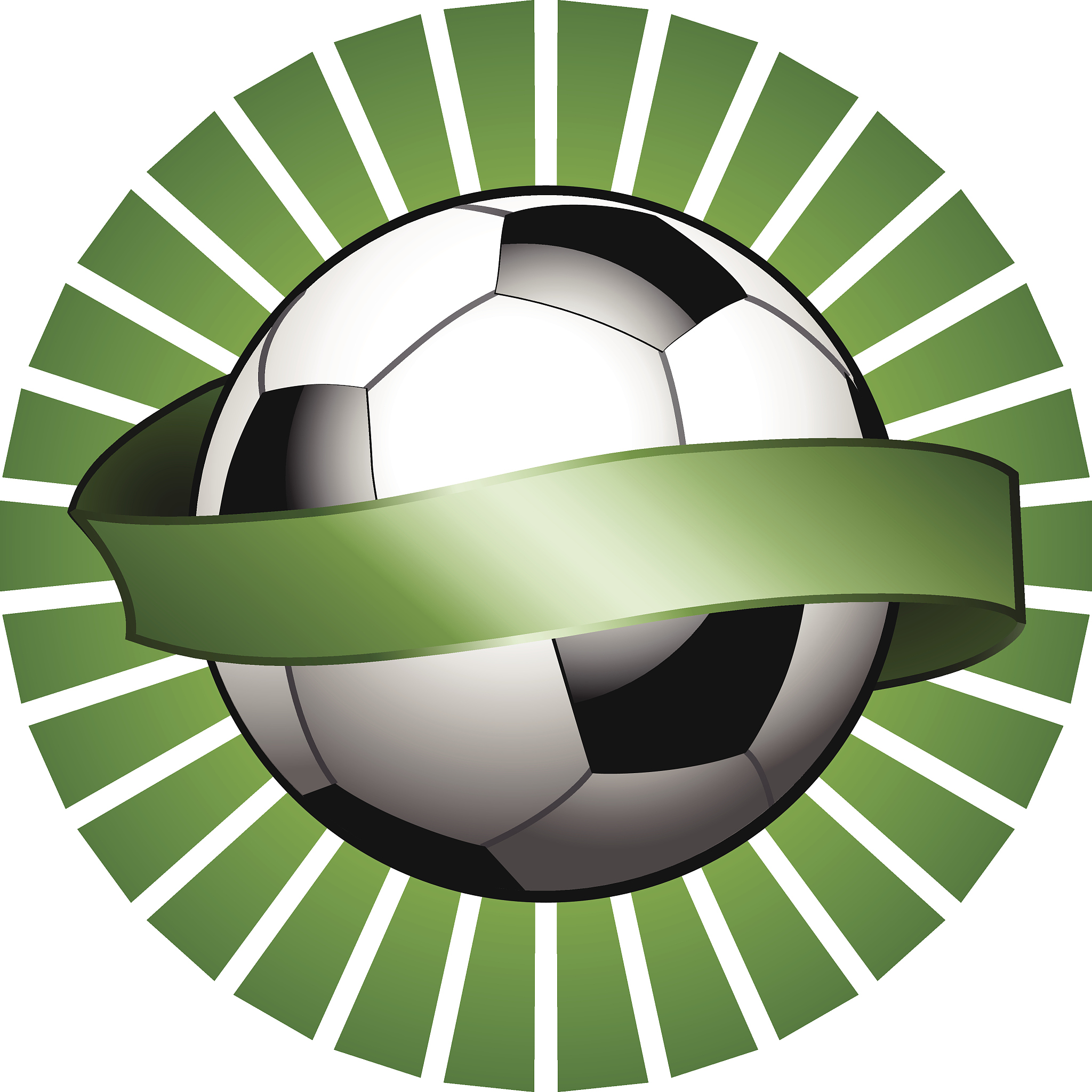football shield with banner