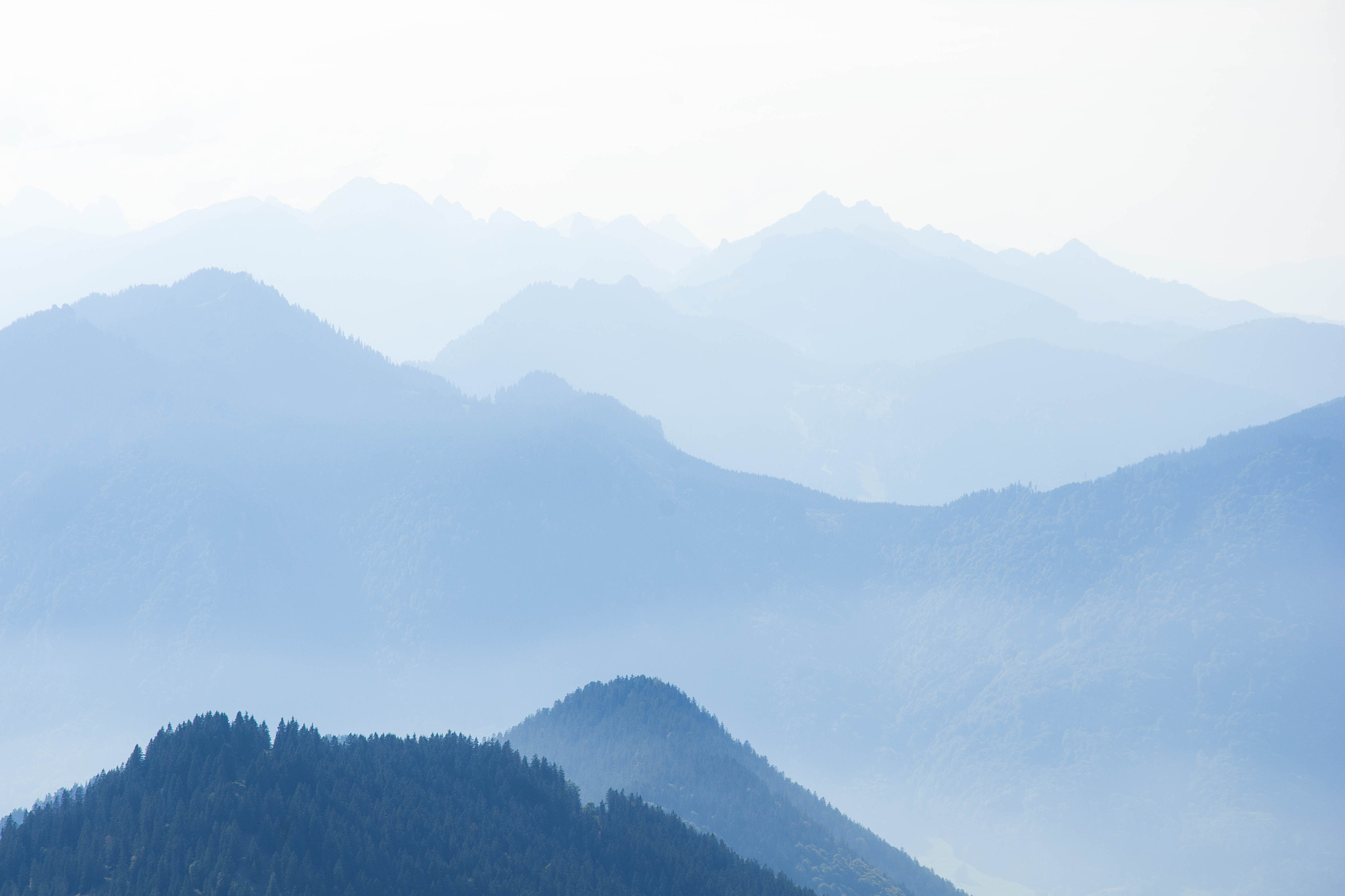 view from mountain herzogstand to lake walchen(walchensee)