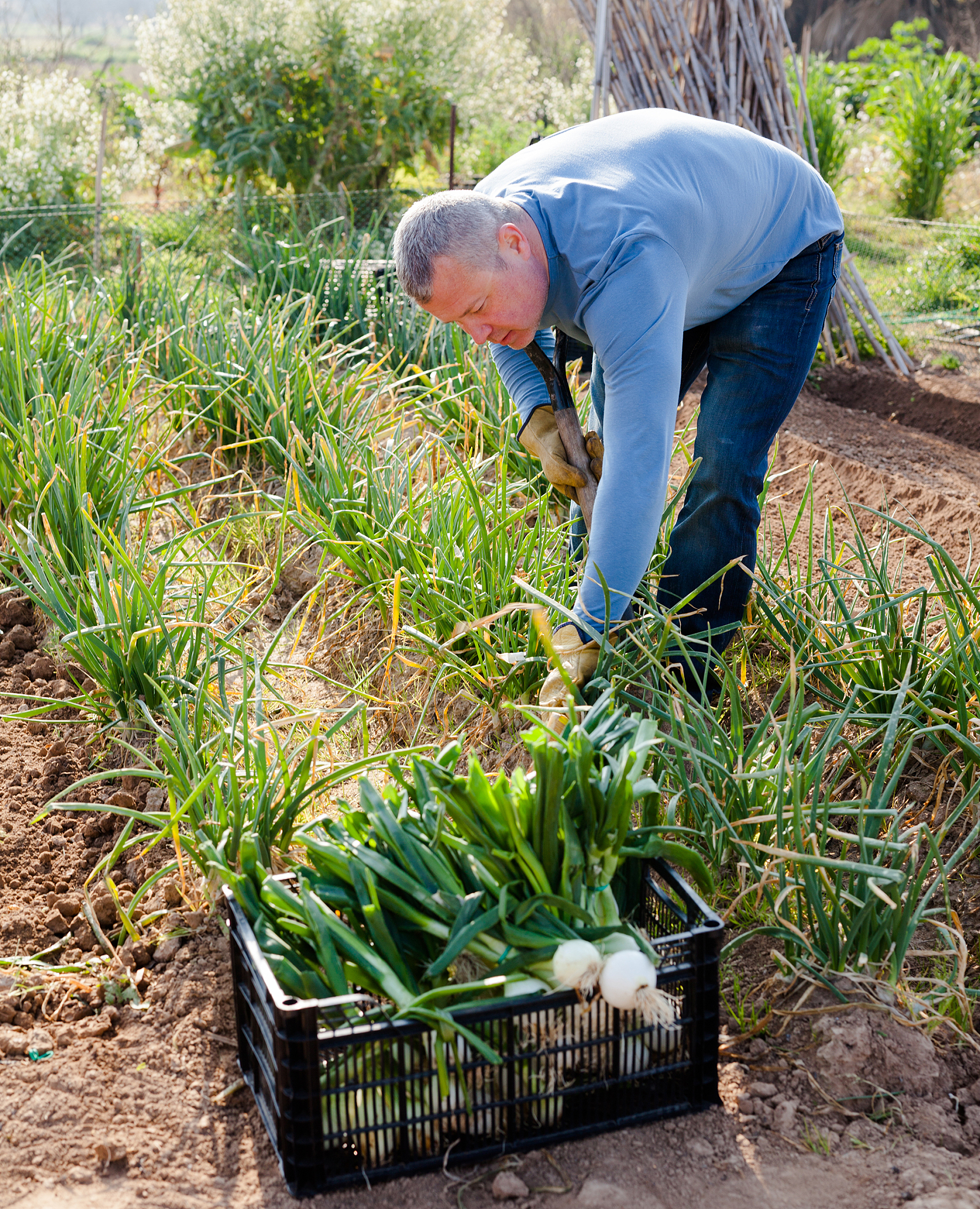 临沧市农业学校专业设置：涵盖农业、经济、信息技术等领域