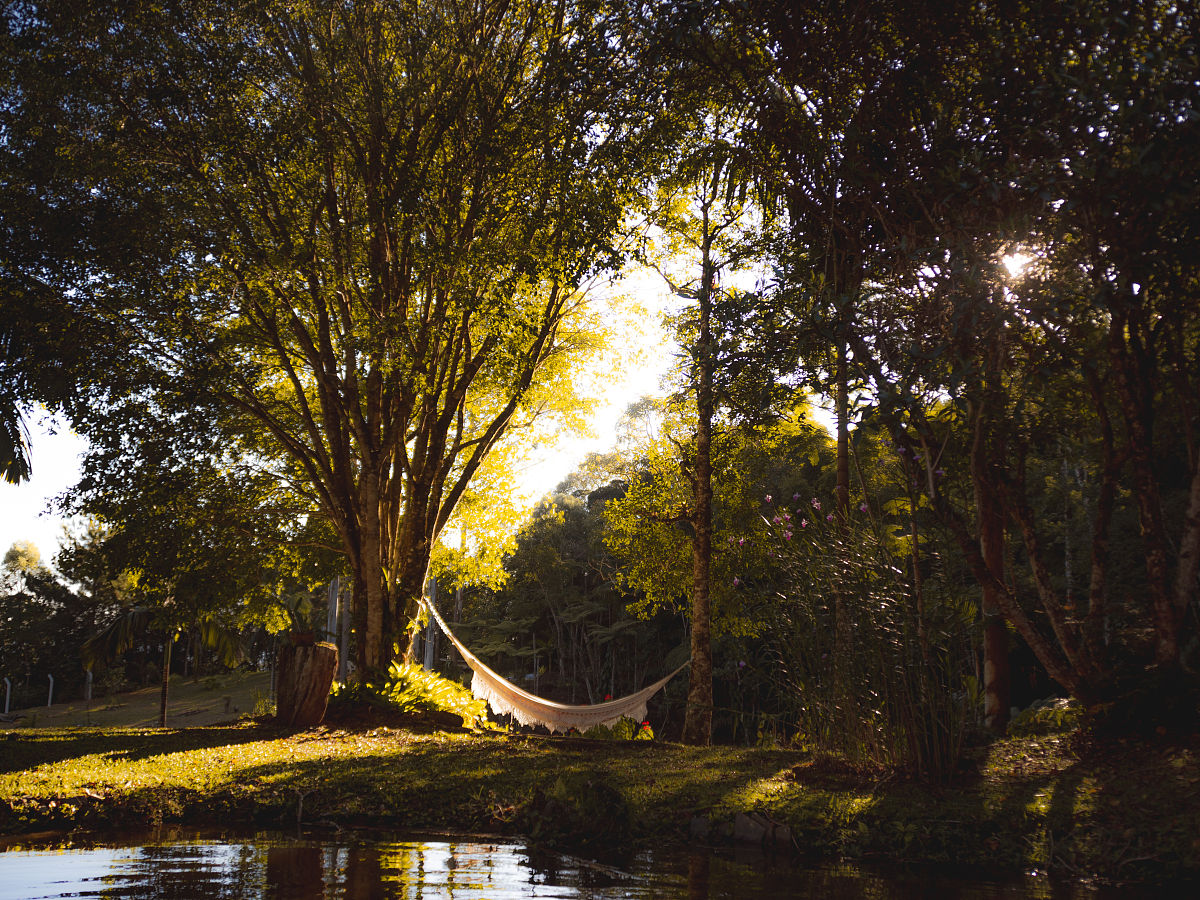 论道不同不相为谋和人类命运共同体的包含关系五百字