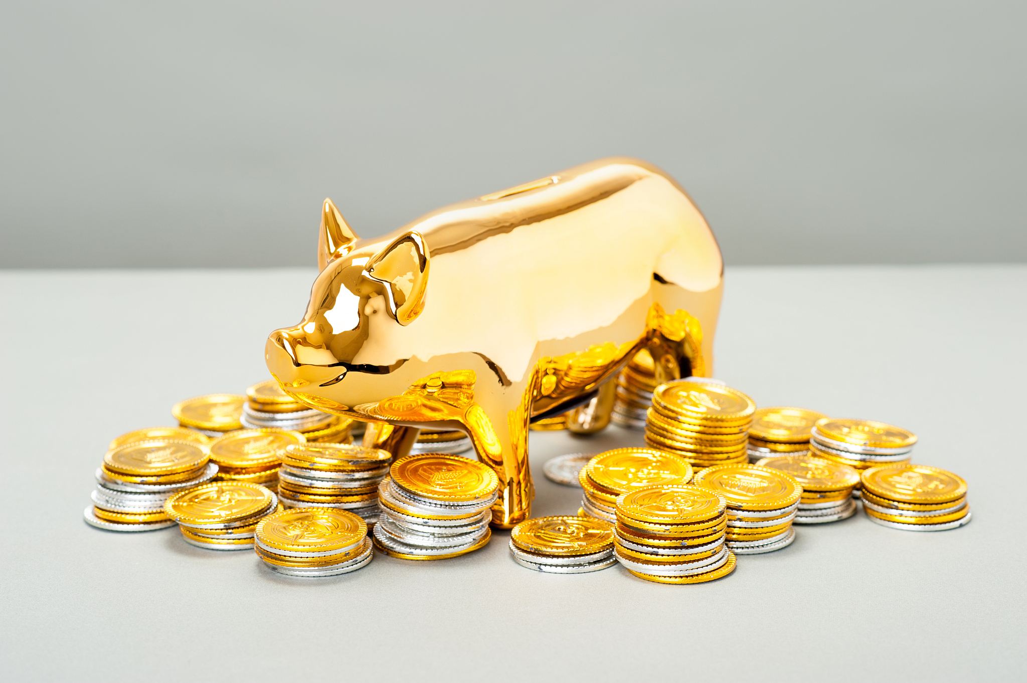 golden pig, piggy bank