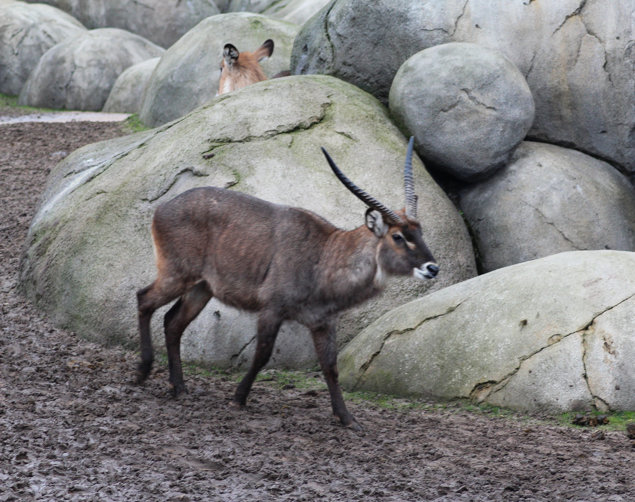 如何根据IP地址定位内容 - 详细方法和注意事项