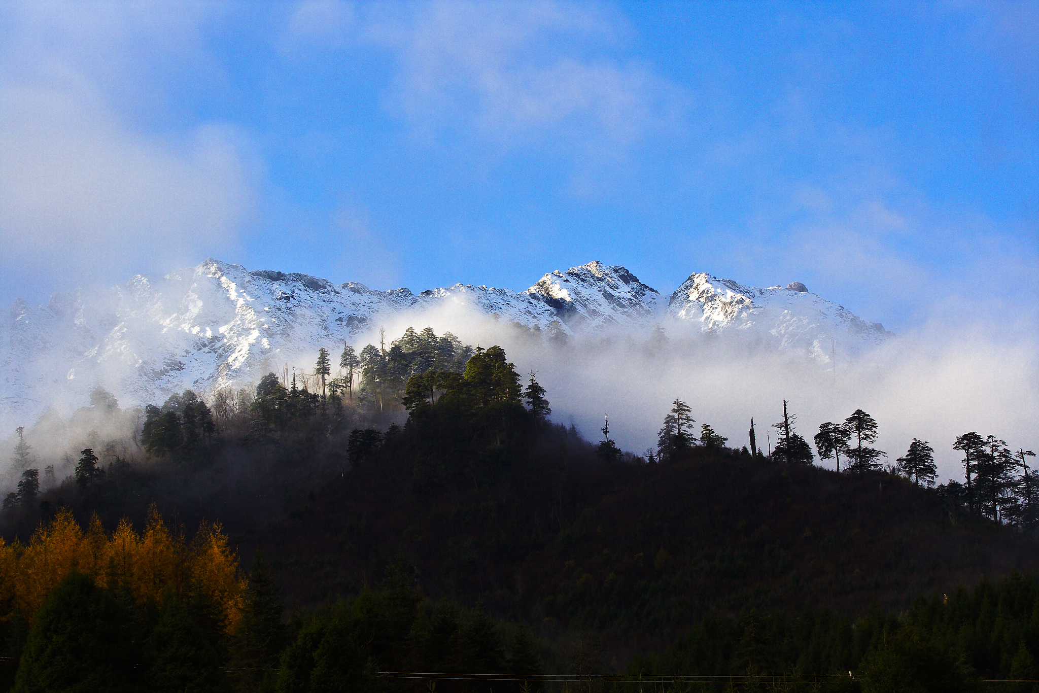 2021年四川省旅游学校有哪些专业