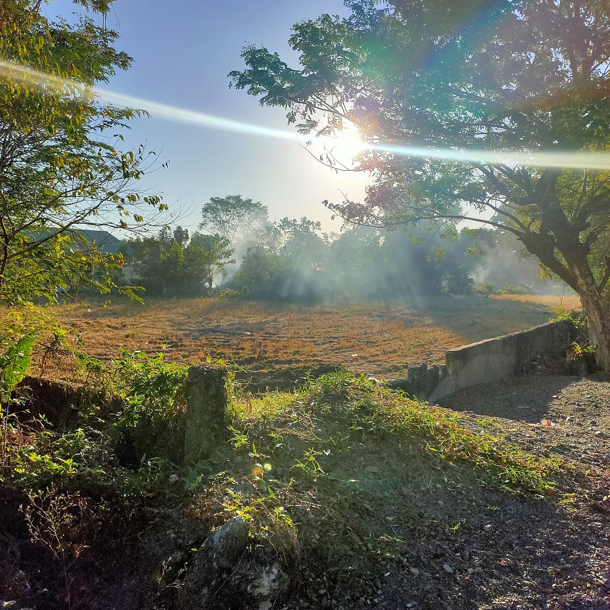 景区怎样实现丁达尔实景不是P图片是真实场景