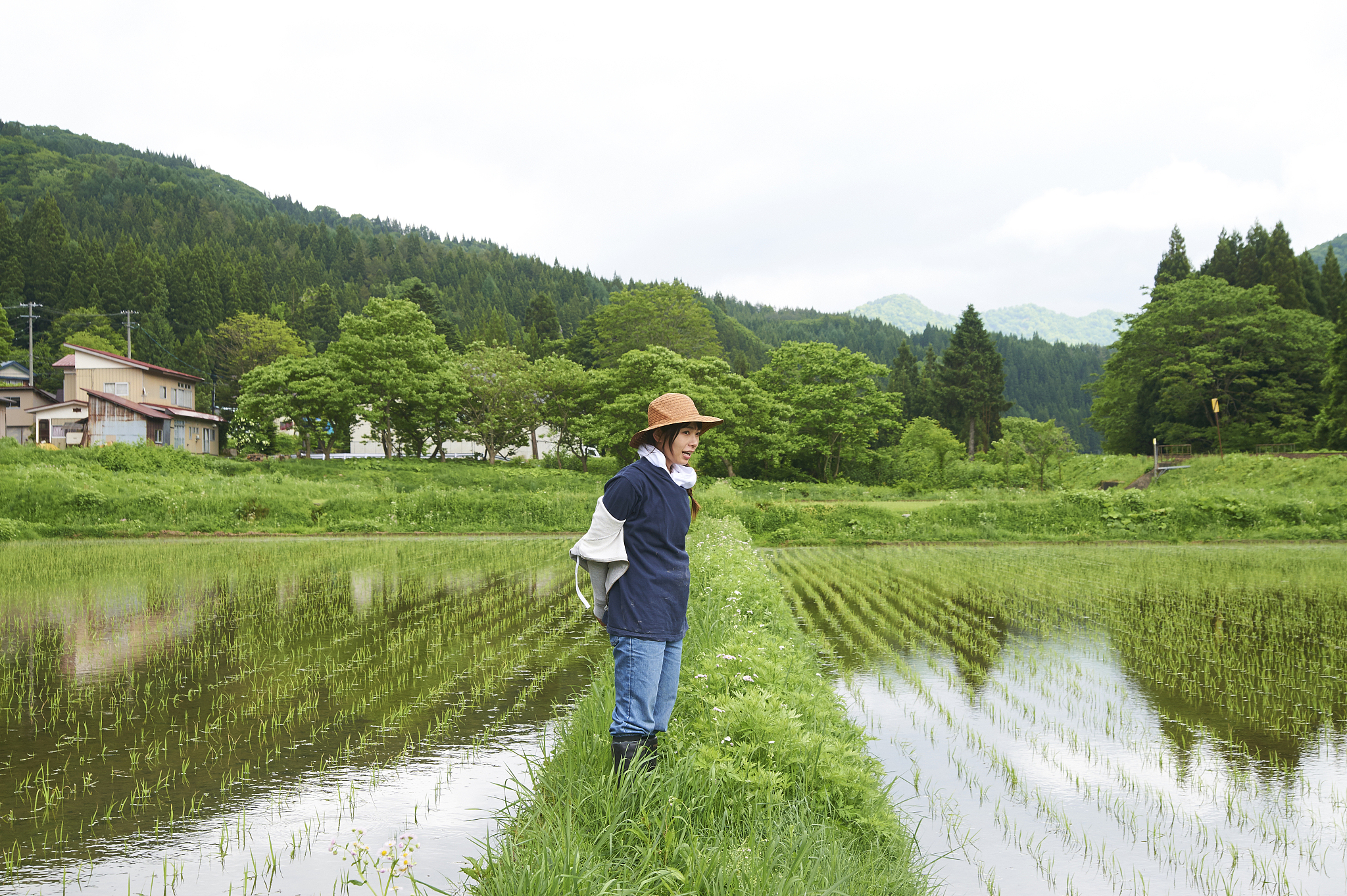 江西省生产区域分析：农业、矿产、工业分布
