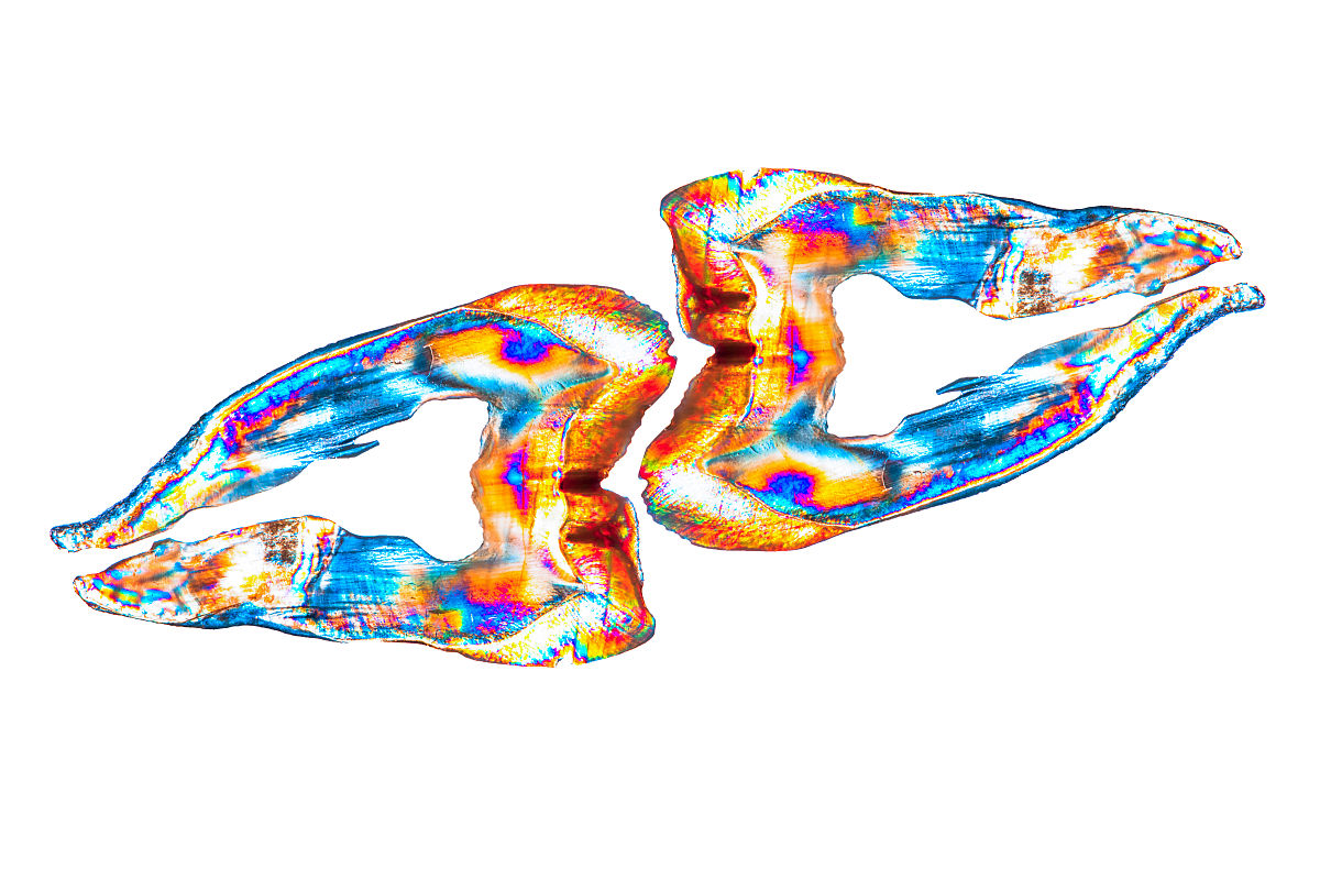 比移值大的物质极性大还是小