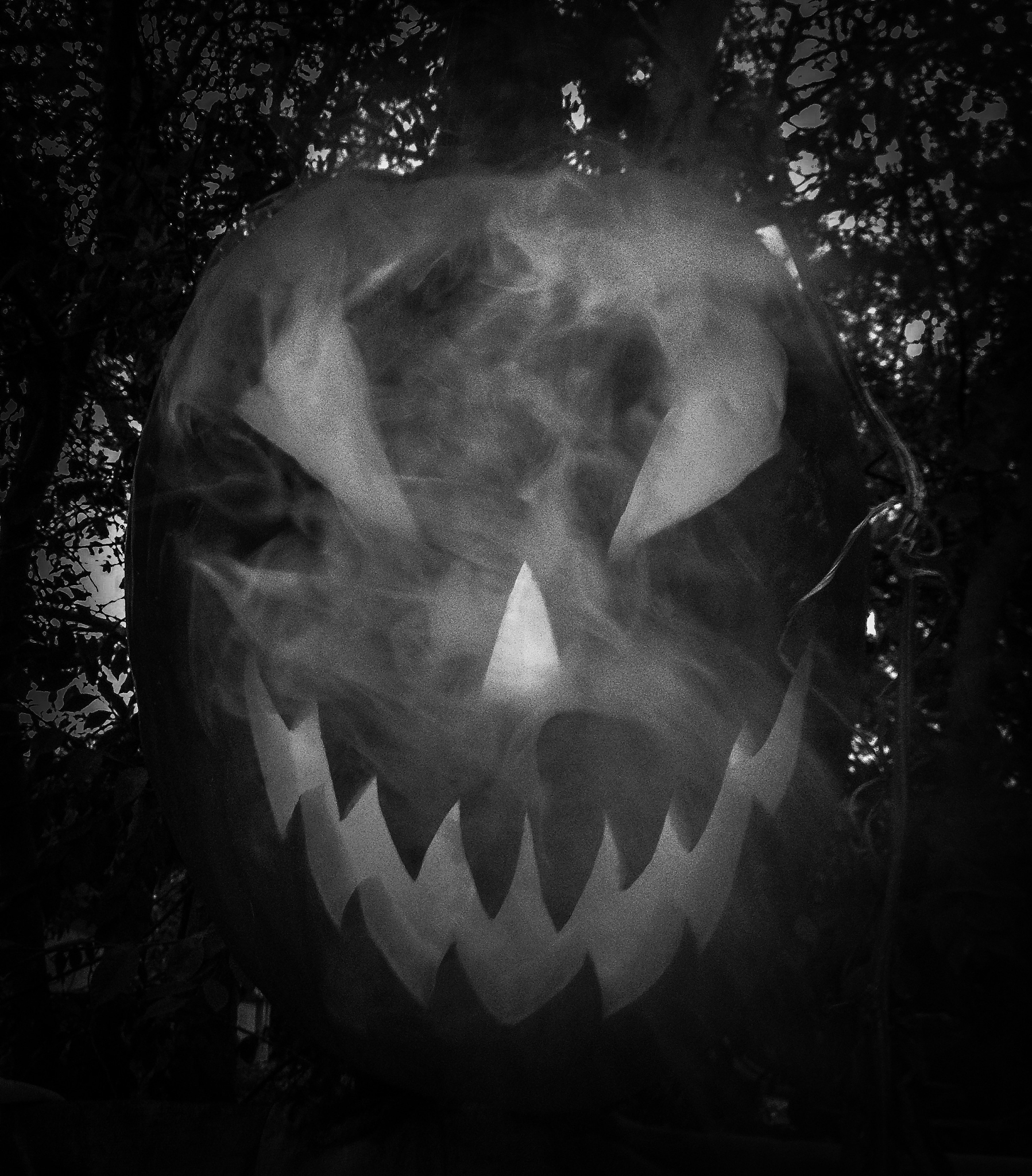 幽灵：神秘的存在，是恐惧还是记忆？