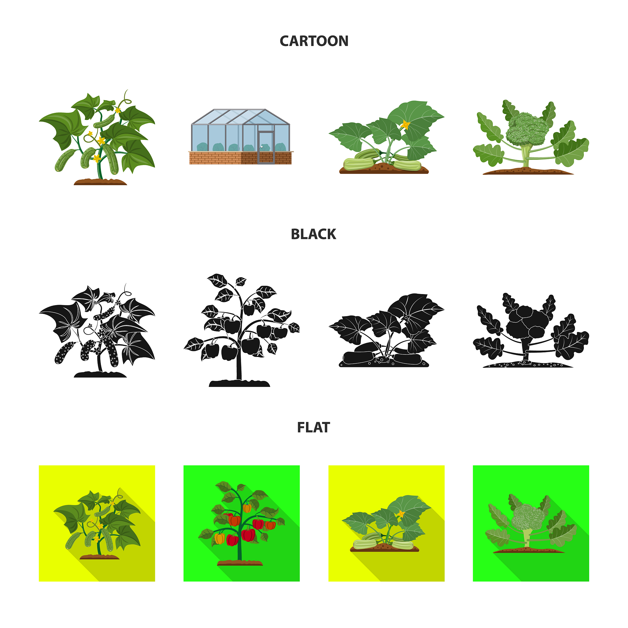 植物产量和干重：区别解析