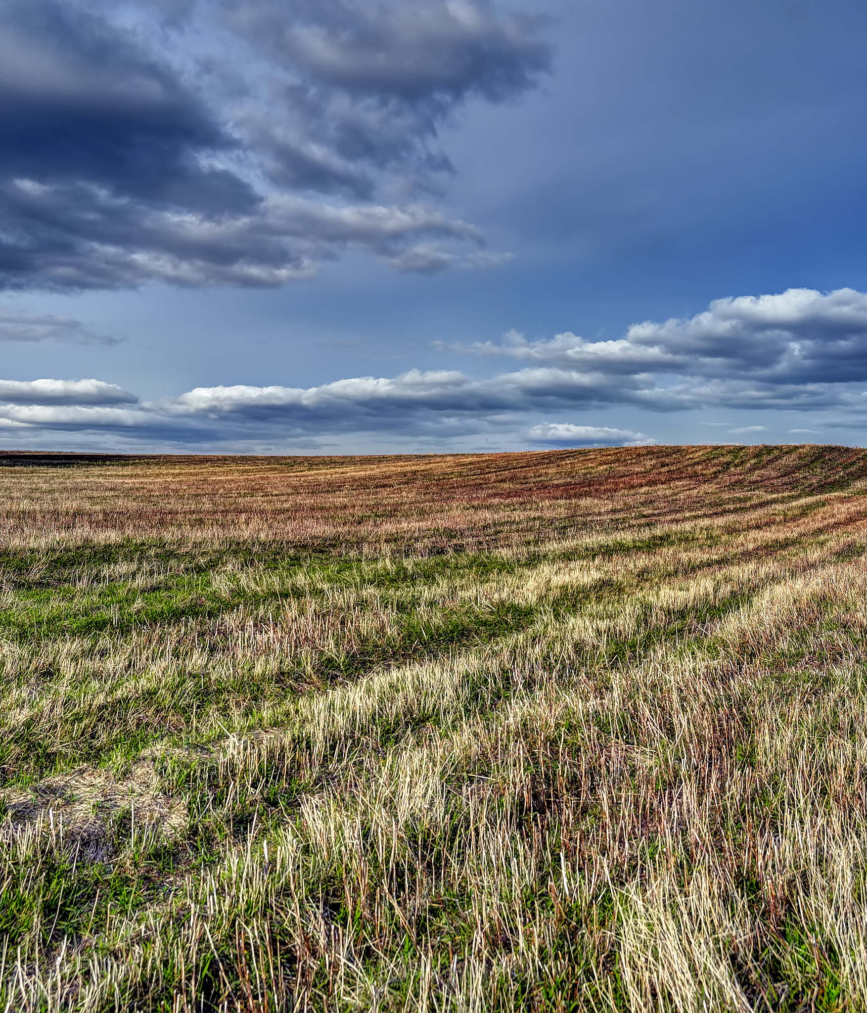 地平线4 手游更新内容 - 新增地图、任务、武器、技能和剧情