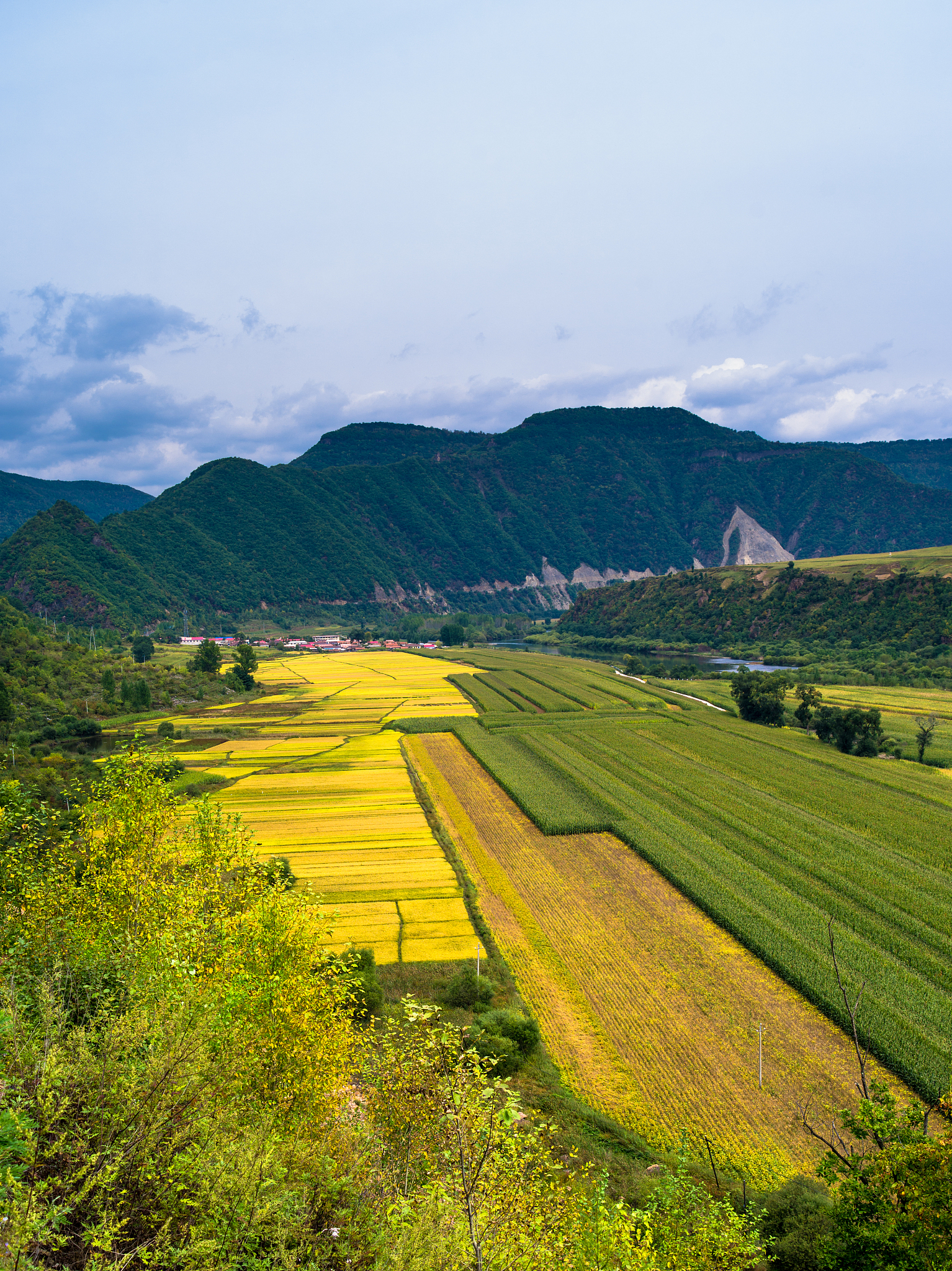 圆柱体面积计算公式及详解 | 300字完整解析