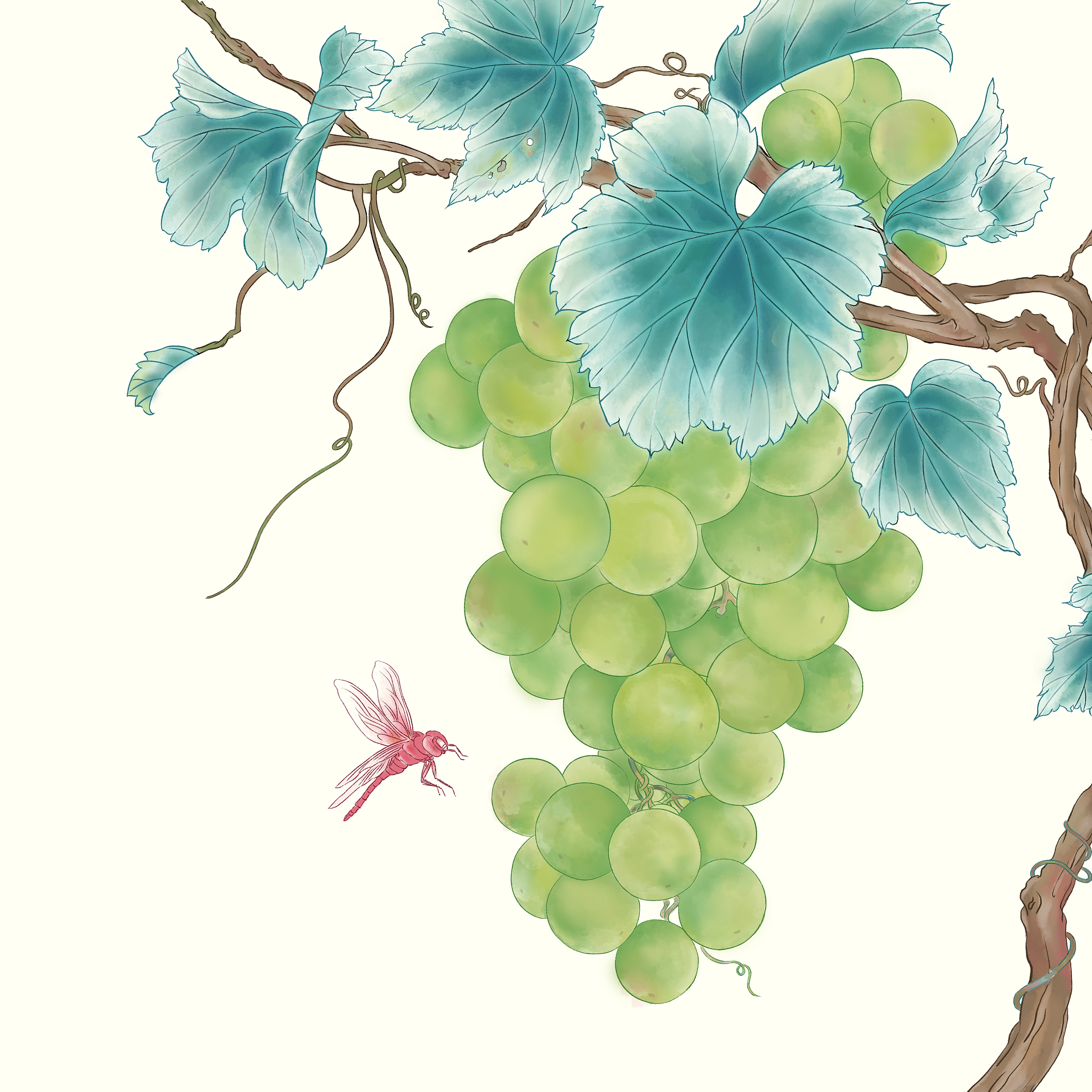 葡萄怎么画 葡萄怎么洗才能完全洗干净