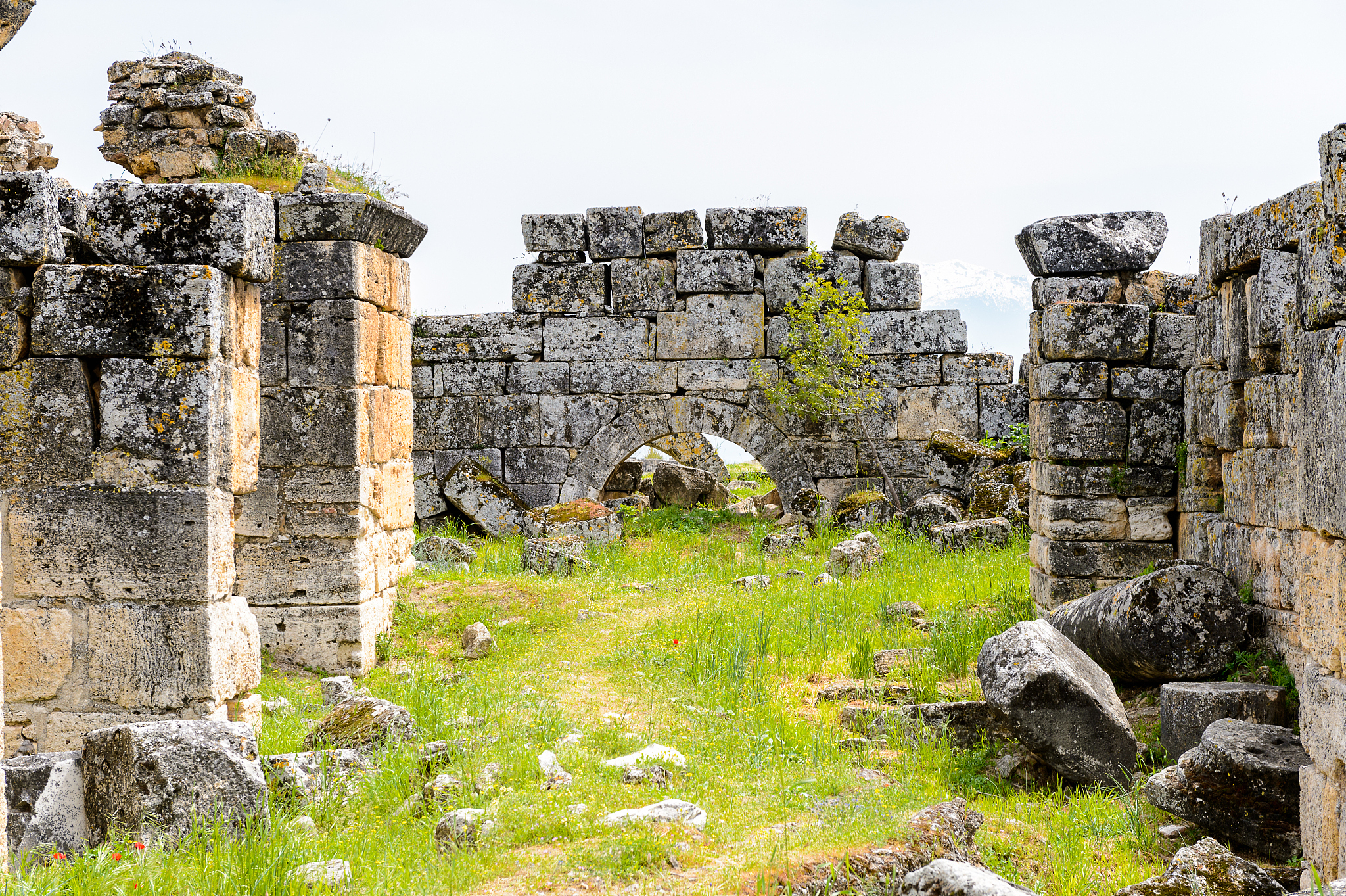 请详细的写《跨文化视角下郴州红色文化的外宣翻译》的研究背景用英文回答