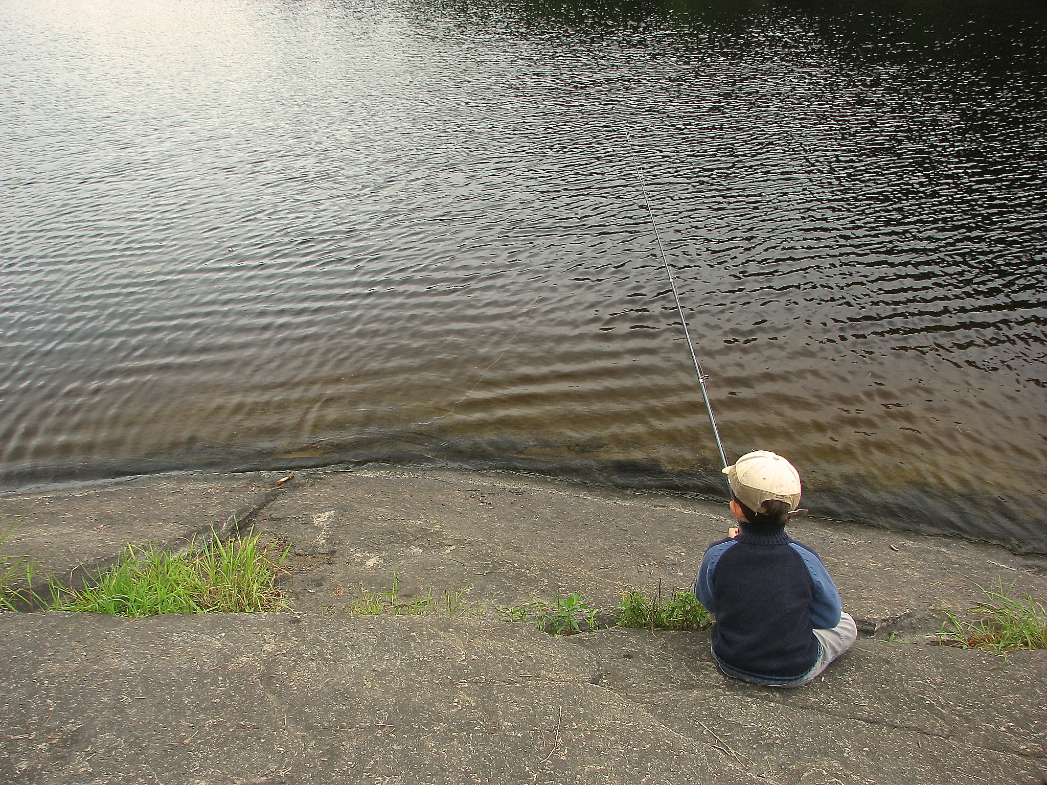 夜间盲钓鲢鳙怎么钓 操作步骤帮我用200字详细描述