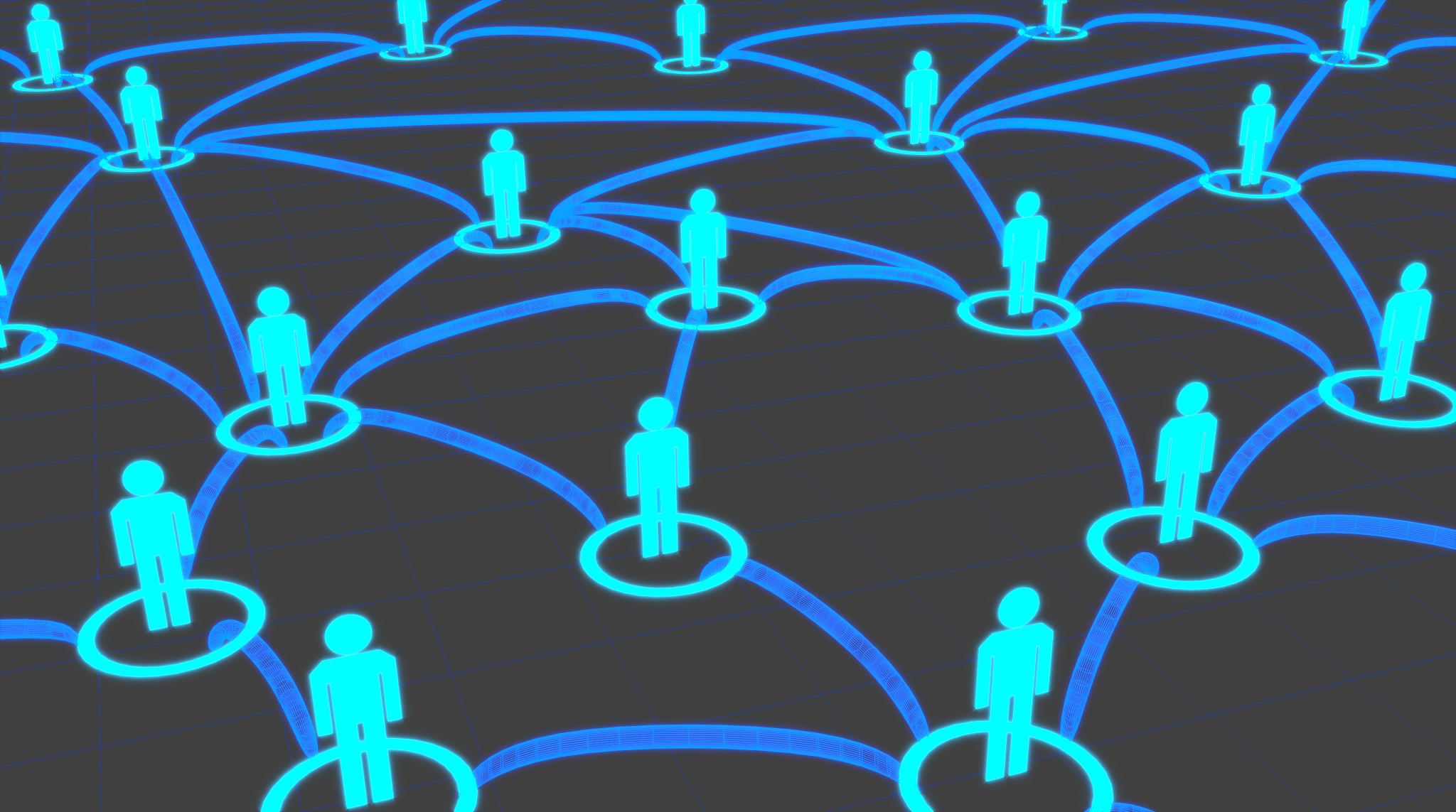 people connection net