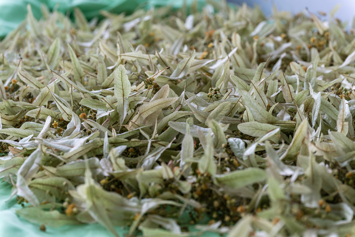 神仙茶的做法_神仙茶怎么做