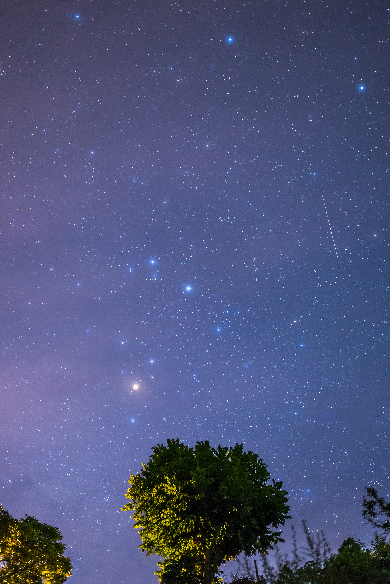 今晚的星星很美怎么回复