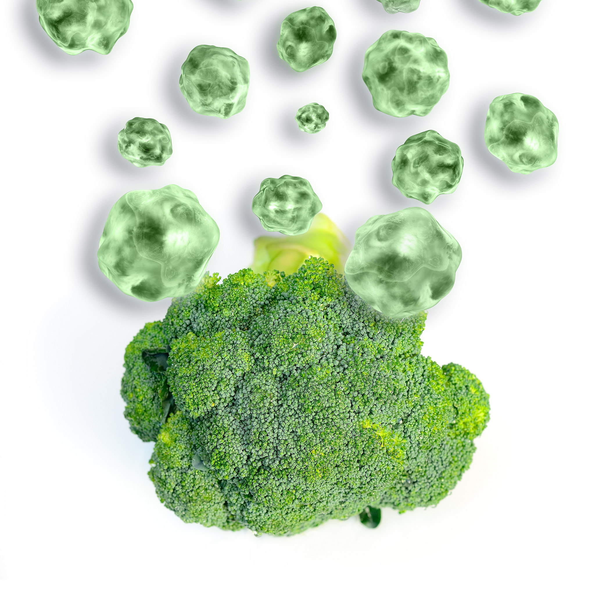 花胶的成分有哪些 详细