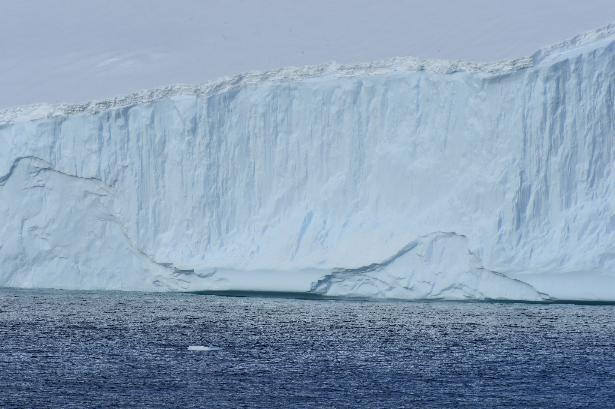 antarctica