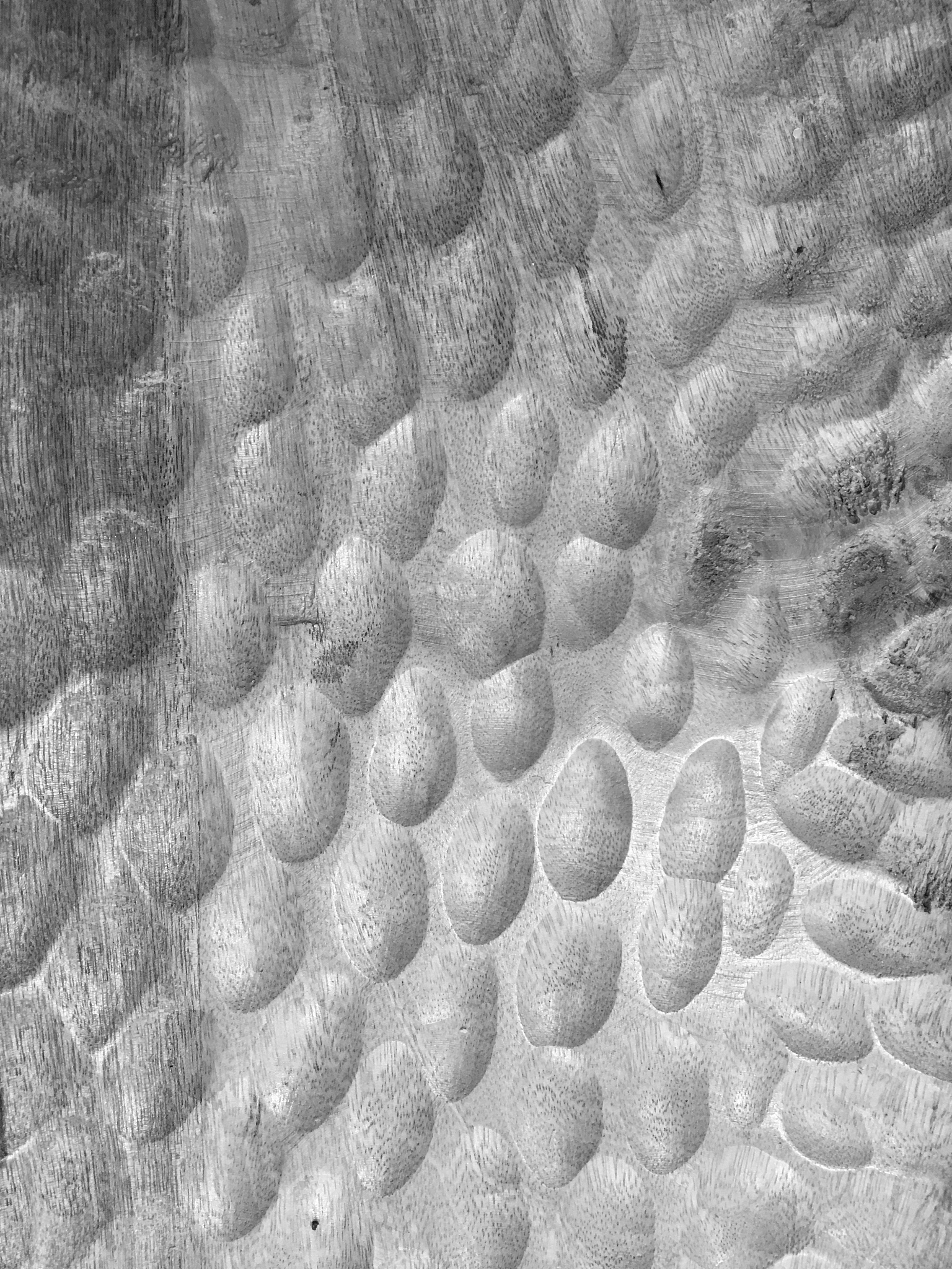 为什么润湿后的木屑填料层具有高疏油性？